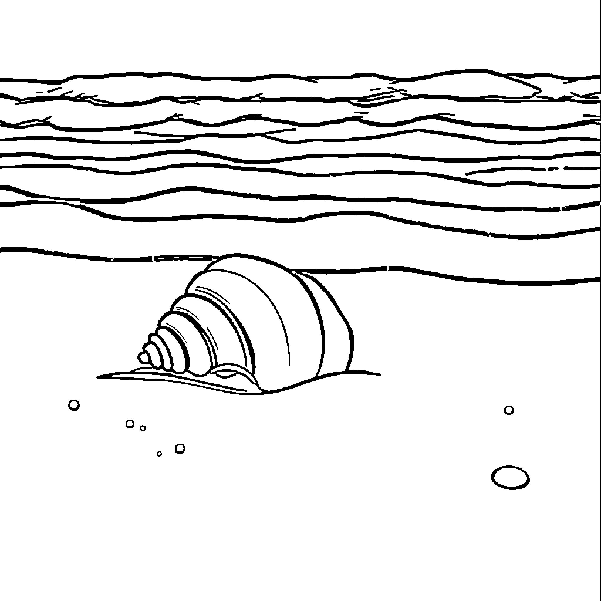 Sea Shell on the Seabed Coloring Page (free black-and-white line drawing printable PDF for all, from beginners to advanced learners, including children, teens, adults, and seniors)