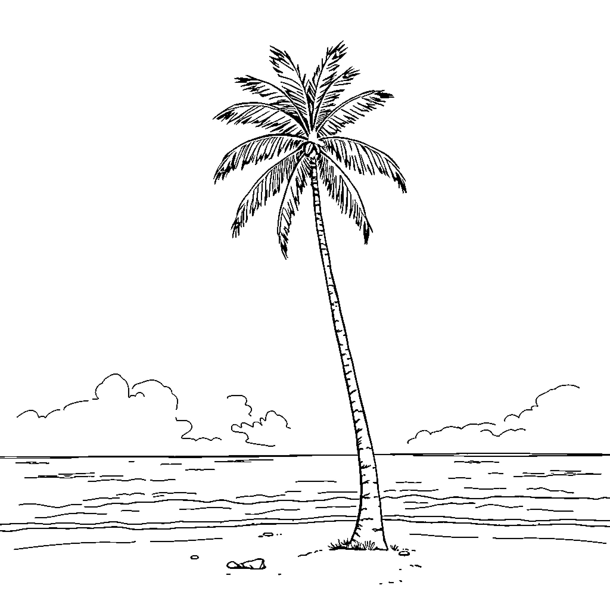 Palm tree against seascape horizon Coloring Page (free black-and-white line drawing printable PDF for all, from beginners to advanced learners, including children, teens, adults, and seniors)