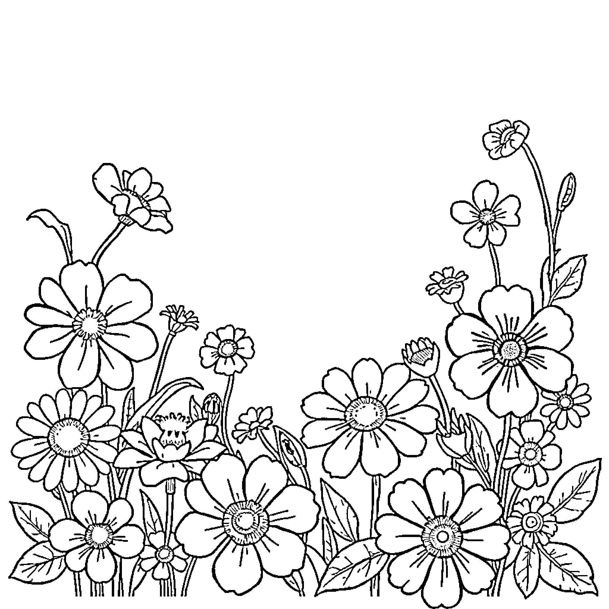 Flower field with blooming wildflowers Coloring Page (free black-and-white line drawing printable PDF for all, from beginners to advanced learners, including children, teens, adults, and seniors)