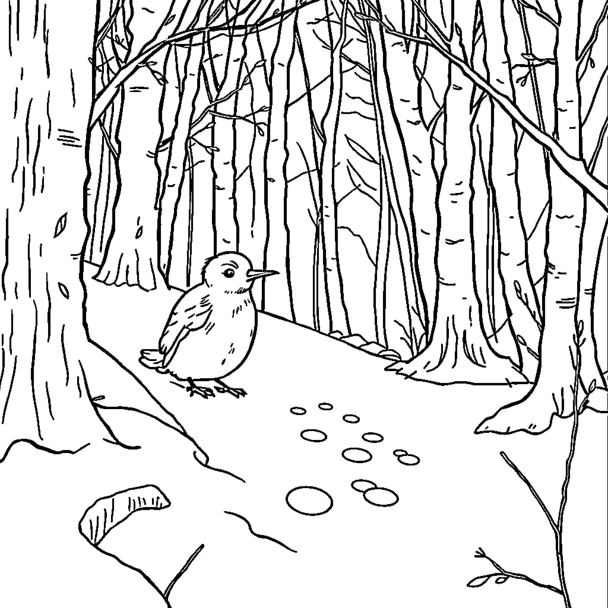 Squirrel in the Enchanted Forest Coloring Page (free black-and-white line drawing printable PDF for all, from beginners to advanced learners, including children, teens, adults, and seniors)