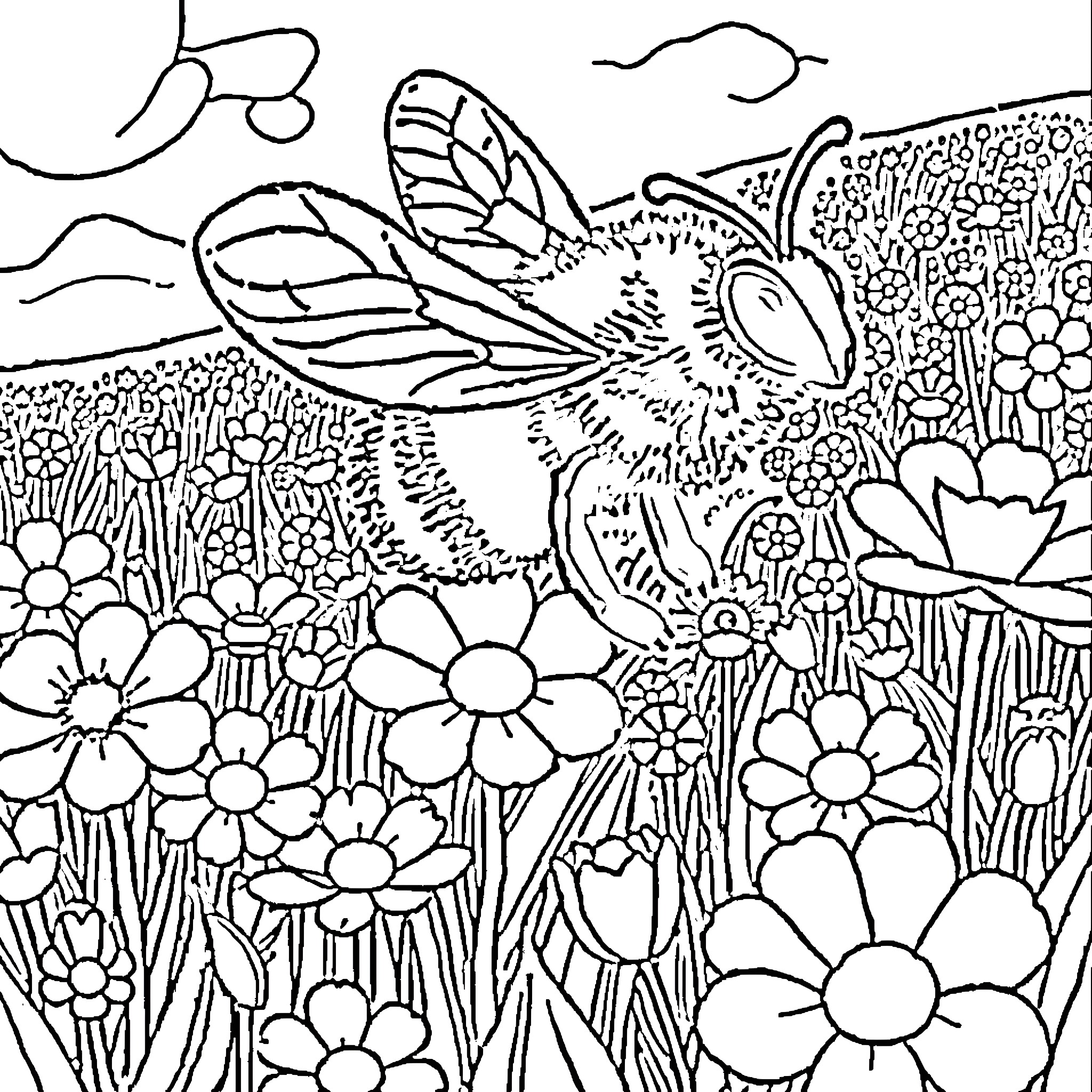 Bee visiting flowers in nature Coloring Page (free black-and-white line drawing printable PDF for all, from beginners to advanced learners, including children, teens, adults, and seniors)