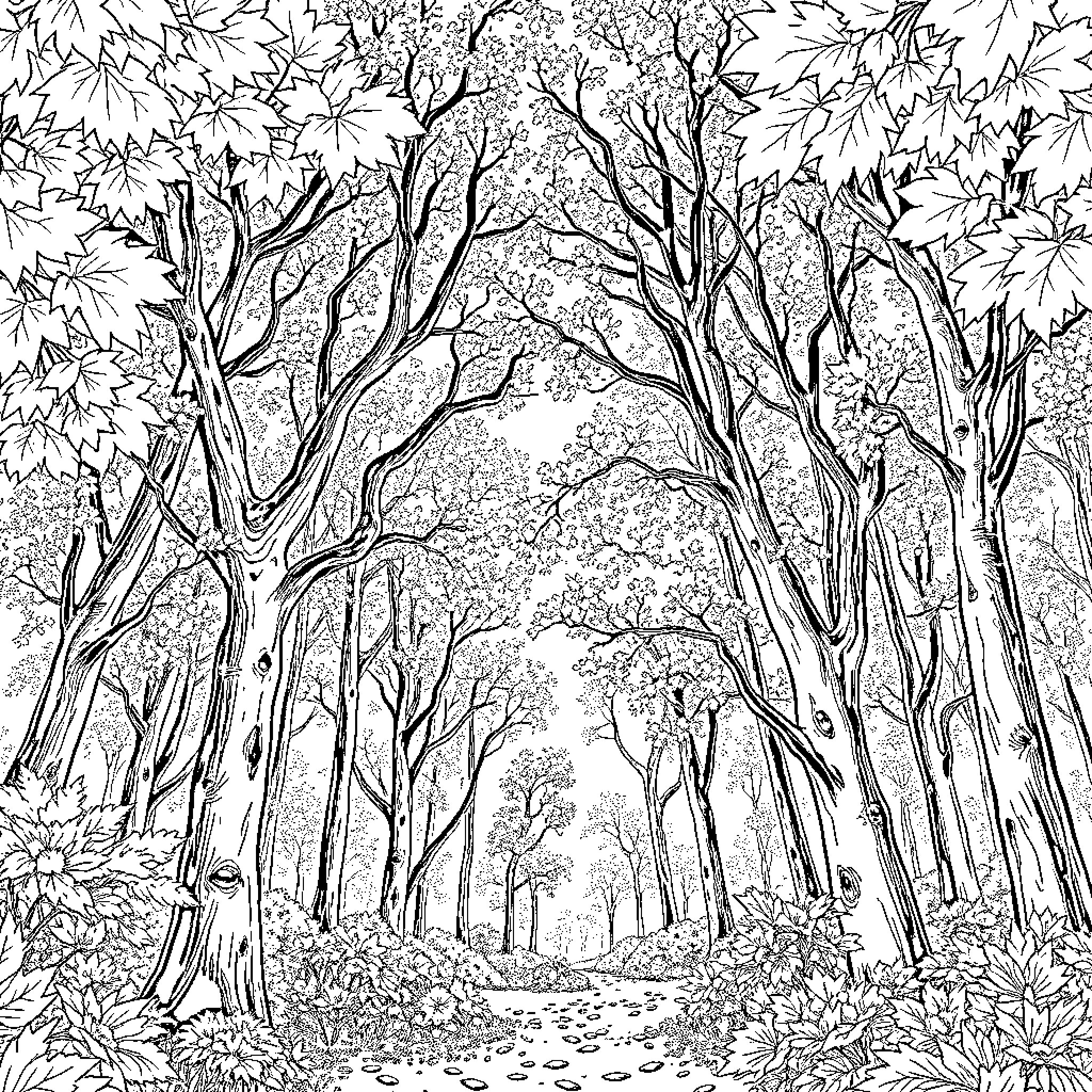 Clave de Sol: Enchanted Forest Pathway Coloring Page (free black-and-white line drawing printable PDF for all, from beginners to advanced learners, including children, teens, adults, and seniors)