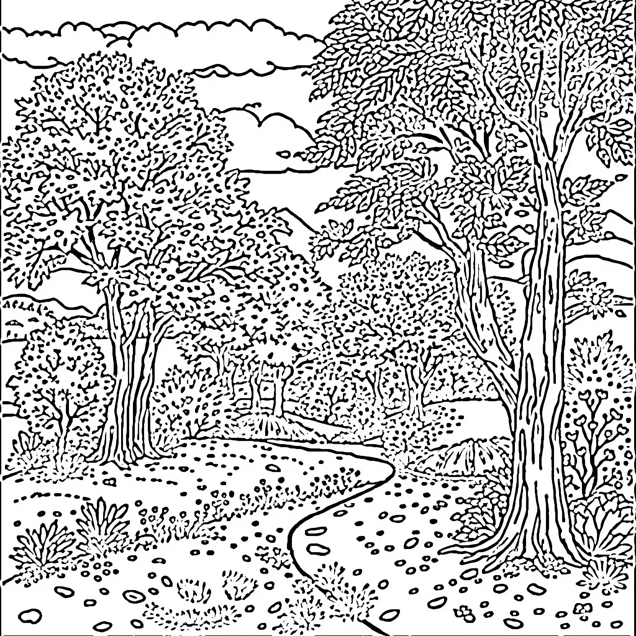 Tree-lined forest path with winding trail Coloring Page (free black-and-white line drawing printable PDF for all, from beginners to advanced learners, including children, teens, adults, and seniors)