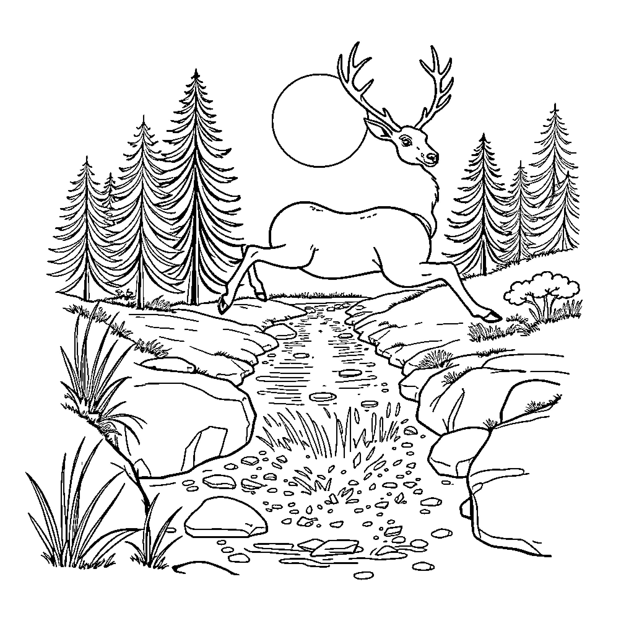 Deer in a tranquil forest scene Coloring Page (free black-and-white line drawing printable PDF for all, from beginners to advanced learners, including children, teens, adults, and seniors)