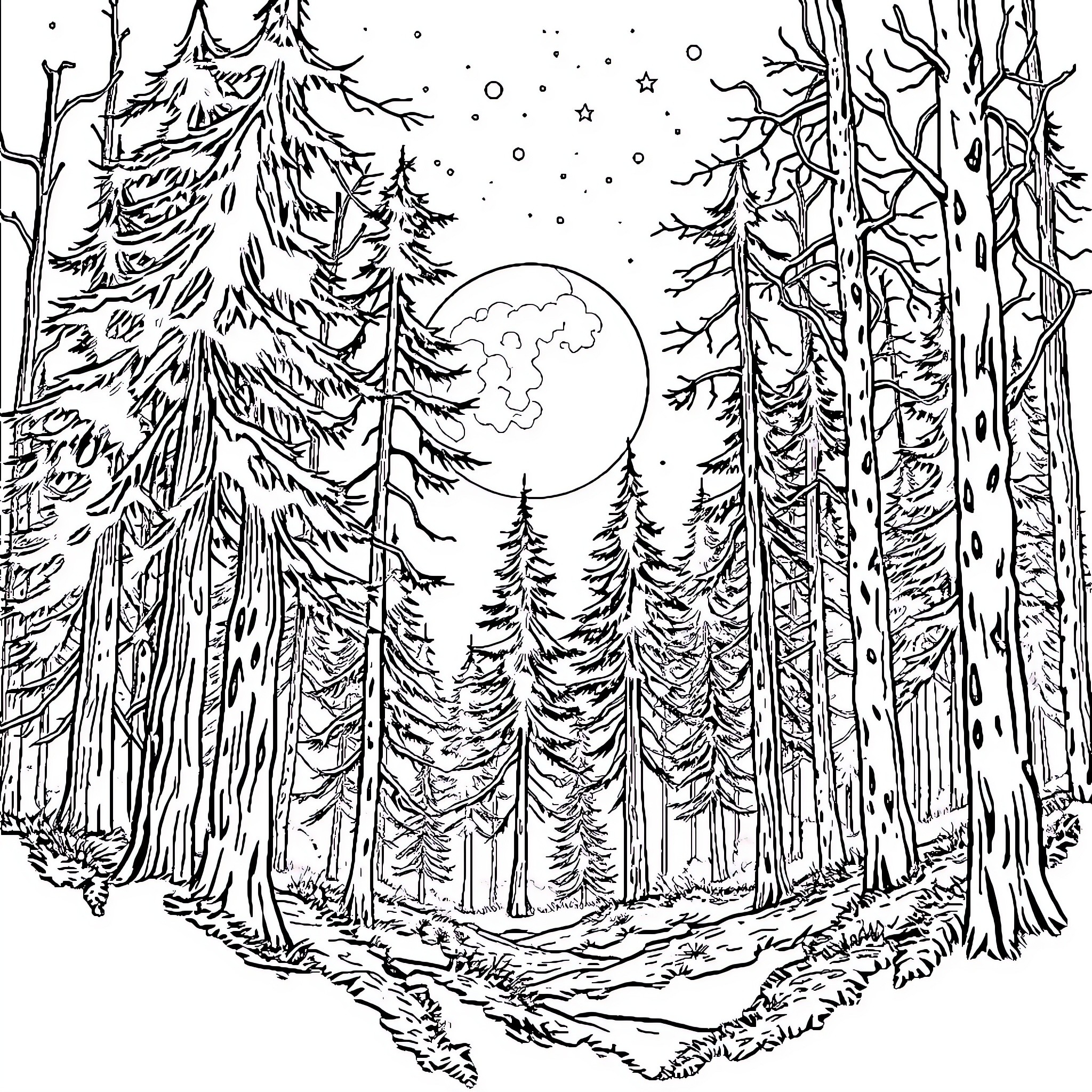 Forest scene with snowy winter landscape Coloring Page (free black-and-white line drawing printable PDF for all, from beginners to advanced learners, including children, teens, adults, and seniors)