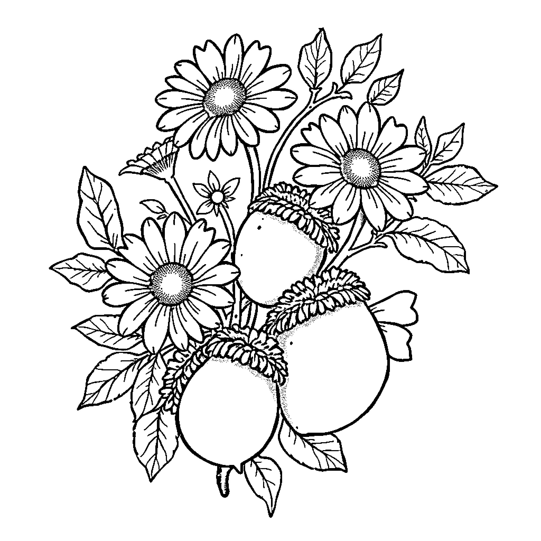 Daisy Flowers Blooming in Nature Coloring Page (free black-and-white line drawing printable PDF for all, from beginners to advanced learners, including children, teens, adults, and seniors)