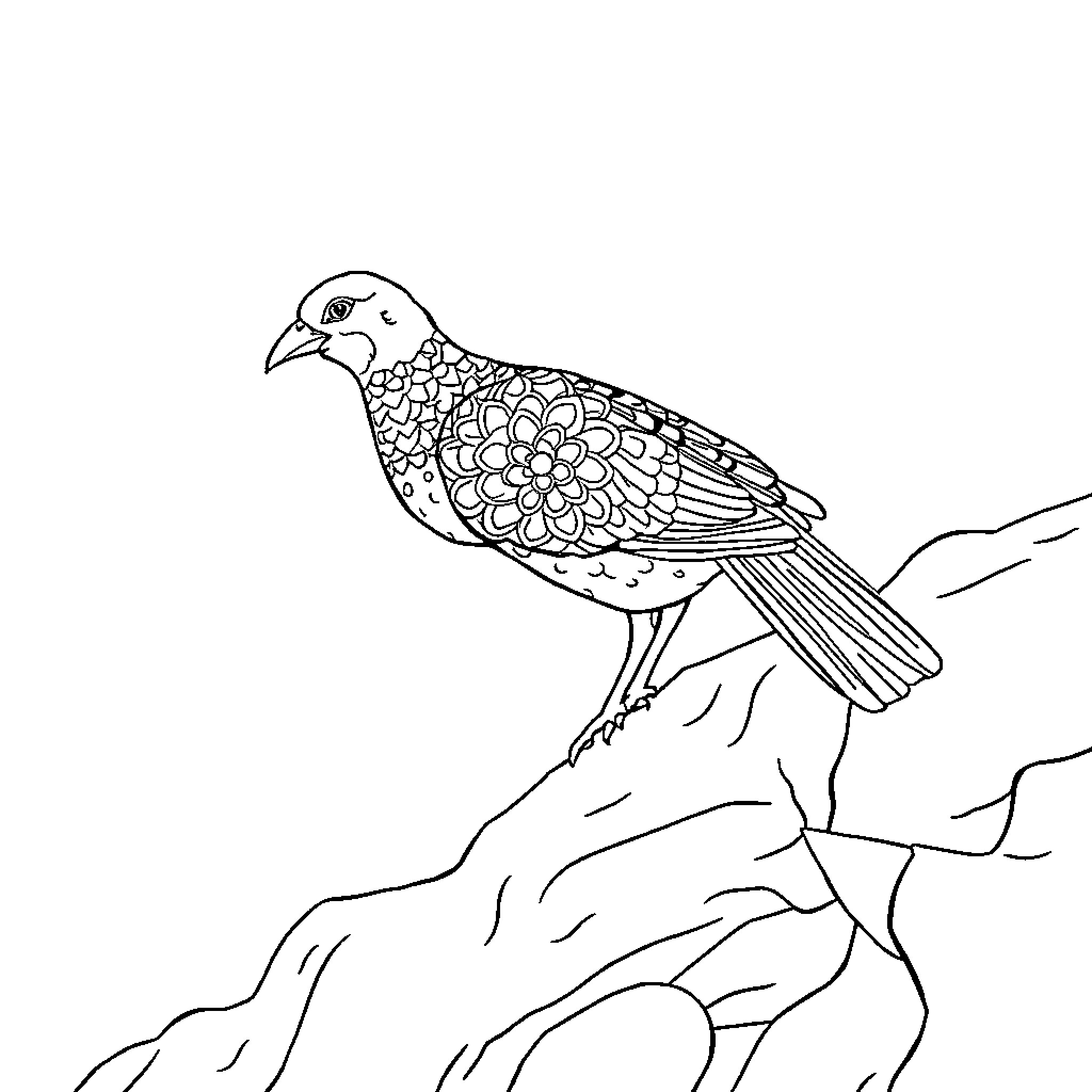 Clothing Featuring Detailed Bird on a Rock Coloring Page (free black-and-white line drawing printable PDF for all, from beginners to advanced learners, including children, teens, adults, and seniors)