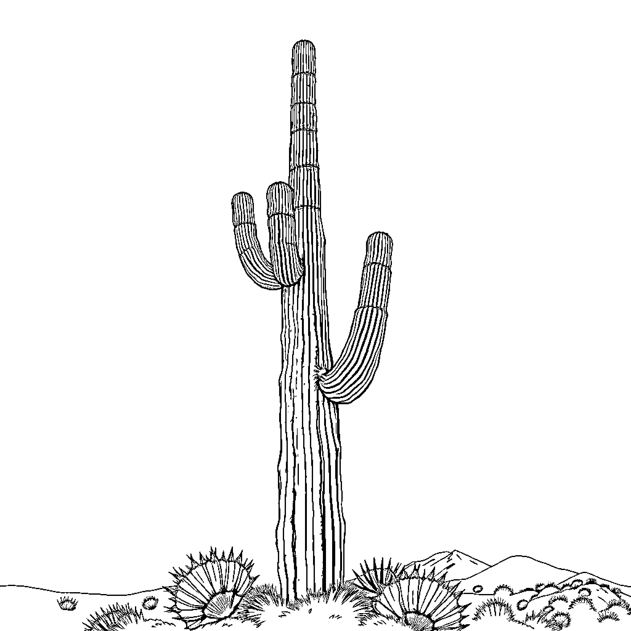 Saguaro Cactus standing tall in desert landscape Coloring Page (free black-and-white line drawing printable PDF for all, from beginners to advanced learners, including children, teens, adults, and seniors)
