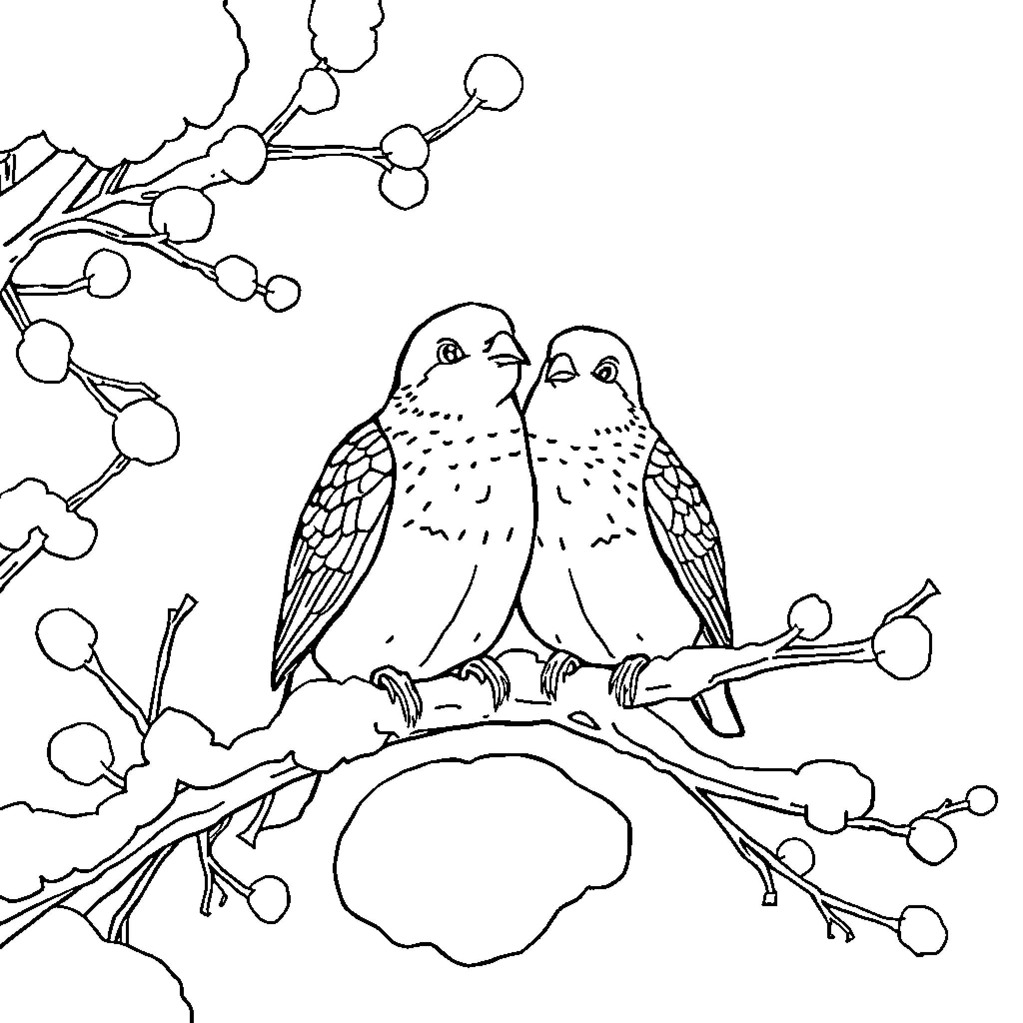 Dove pair perched on a branch with blossoms Coloring Page (free black-and-white line drawing printable PDF for all, from beginners to advanced learners, including children, teens, adults, and seniors)
