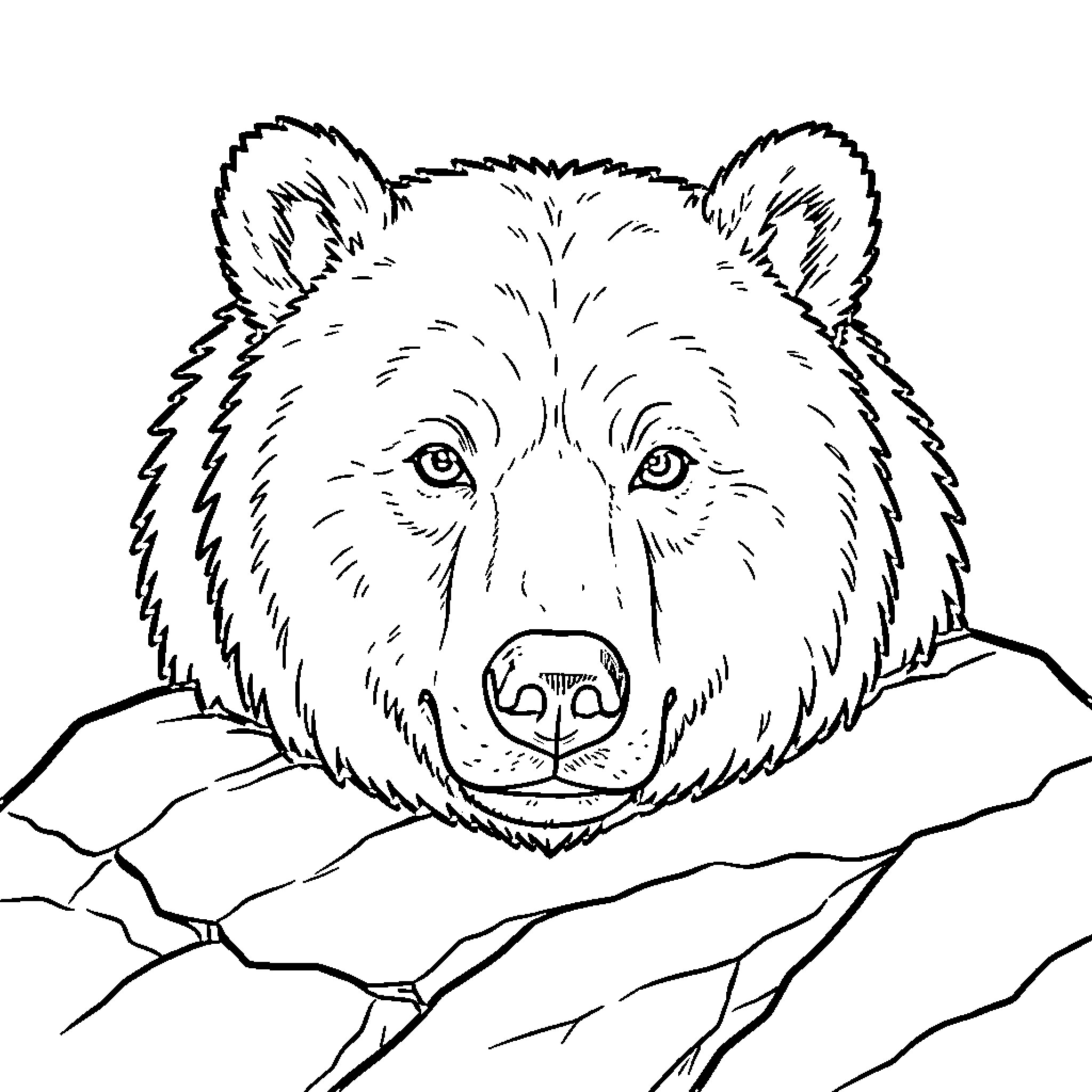 Bear resting its head on large rocks Coloring Page (free black-and-white line drawing printable PDF for all, from beginners to advanced learners, including children, teens, adults, and seniors)