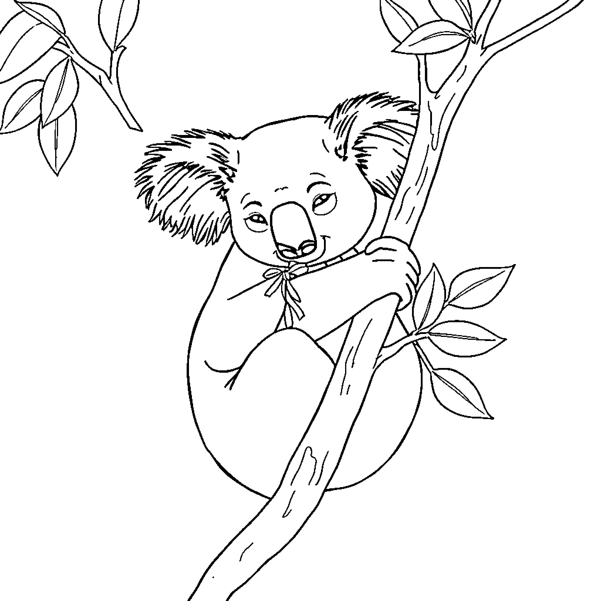Koala relaxing in leafy tree branch Coloring Page (free black-and-white line drawing printable PDF for all, from beginners to advanced learners, including children, teens, adults, and seniors)