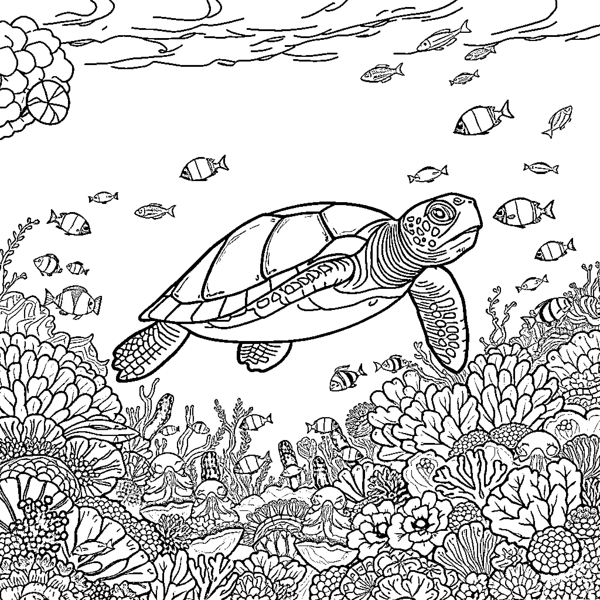 Turtle swimming among vibrant marine life Coloring Page (free black-and-white line drawing printable PDF for all, from beginners to advanced learners, including children, teens, adults, and seniors)