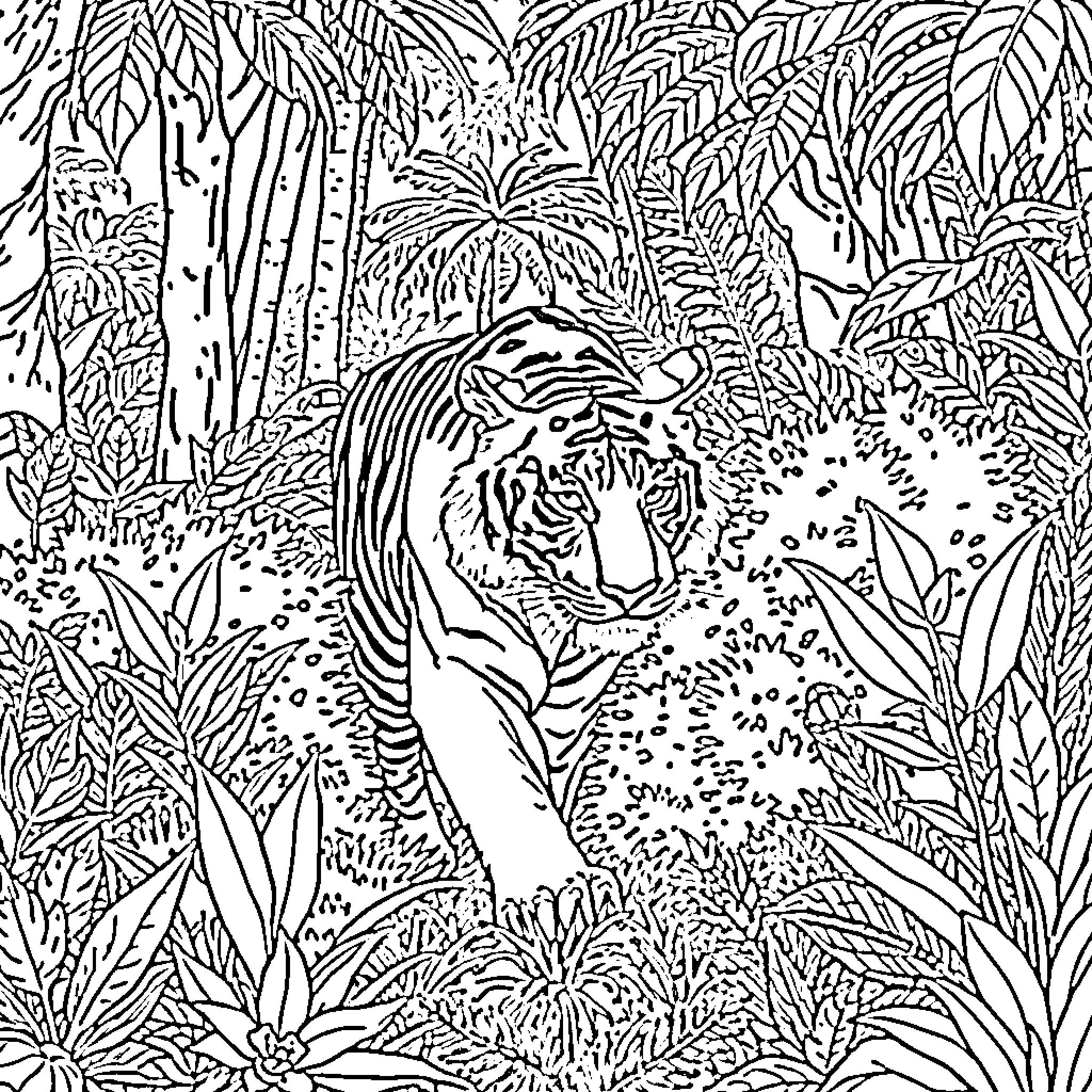 Tiger Roaring Fiercely in Dense Jungle Foliage Coloring Page (free black-and-white line drawing printable PDF for all, from beginners to advanced learners, including children, teens, adults, and seniors)