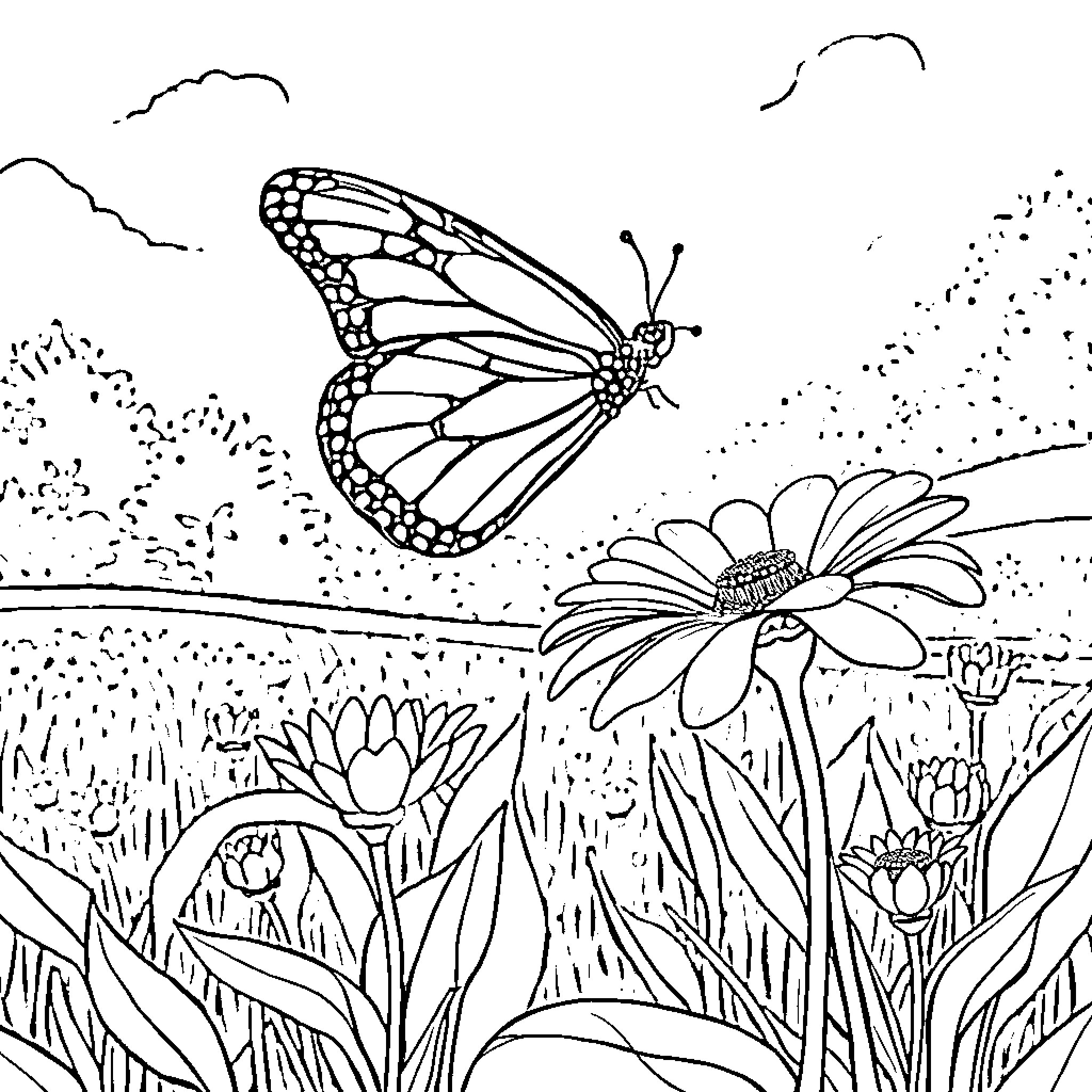 Butterfly dancing among vibrant flowers Coloring Page (free black-and-white line drawing printable PDF for all, from beginners to advanced learners, including children, teens, adults, and seniors)