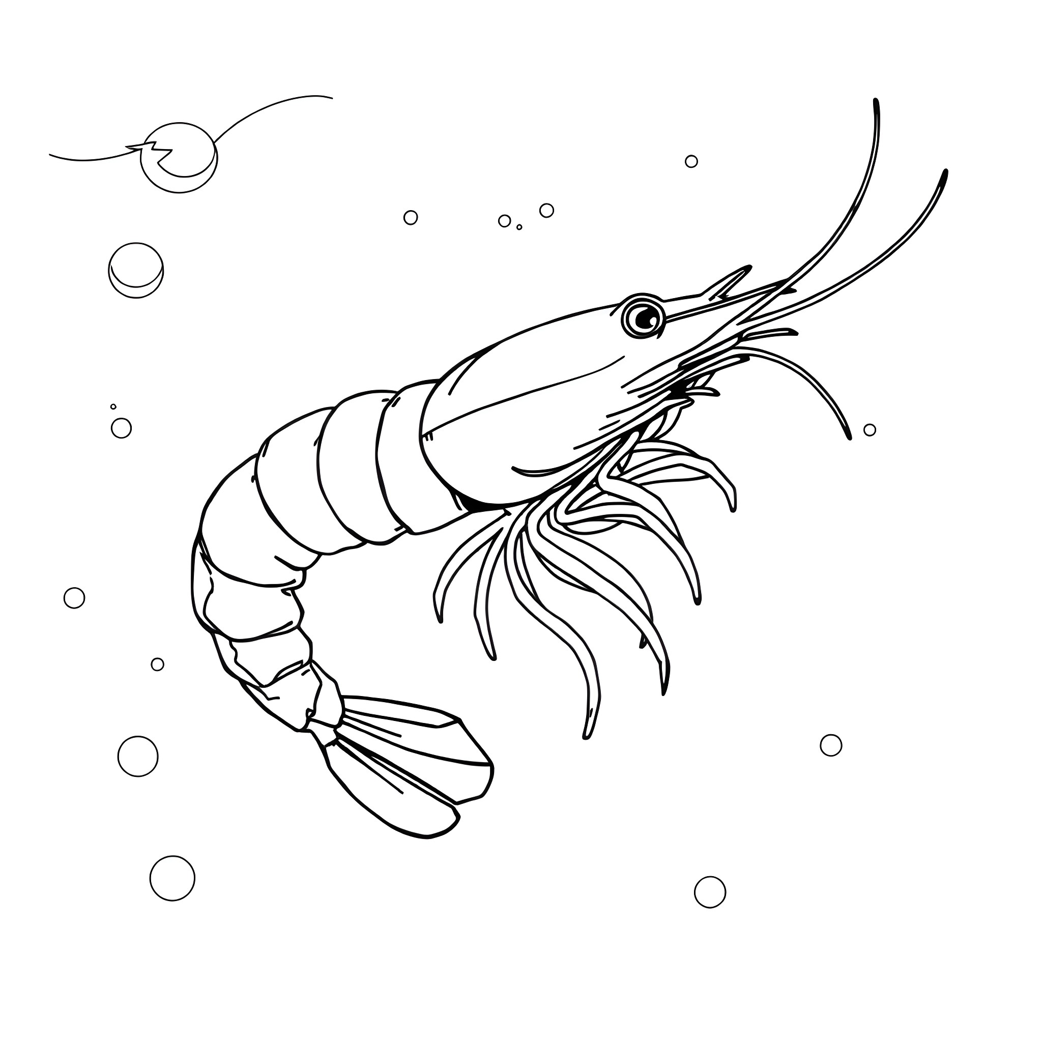 Shrimp swimming gracefully in the ocean Coloring Page (free black-and-white line drawing printable PDF for all, from beginners to advanced learners, including children, teens, adults, and seniors)