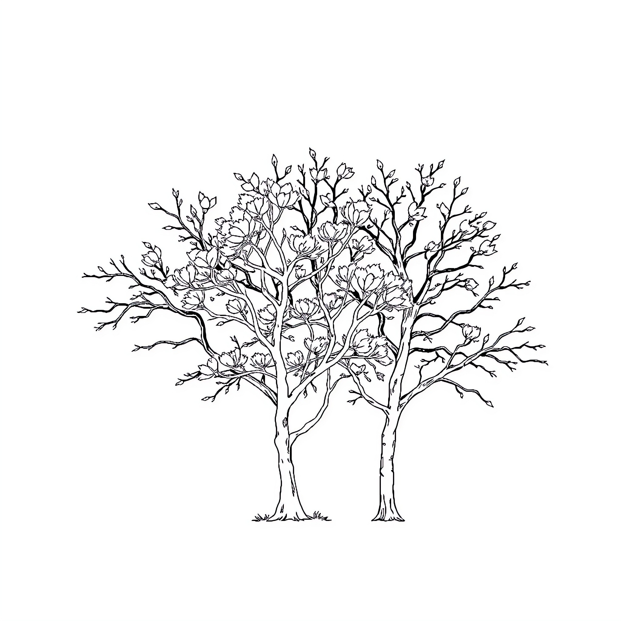 Snow White's Enchanted Forest Coloring Page (free black-and-white line drawing printable PDF for all, from beginners to advanced learners, including children, teens, adults, and seniors)