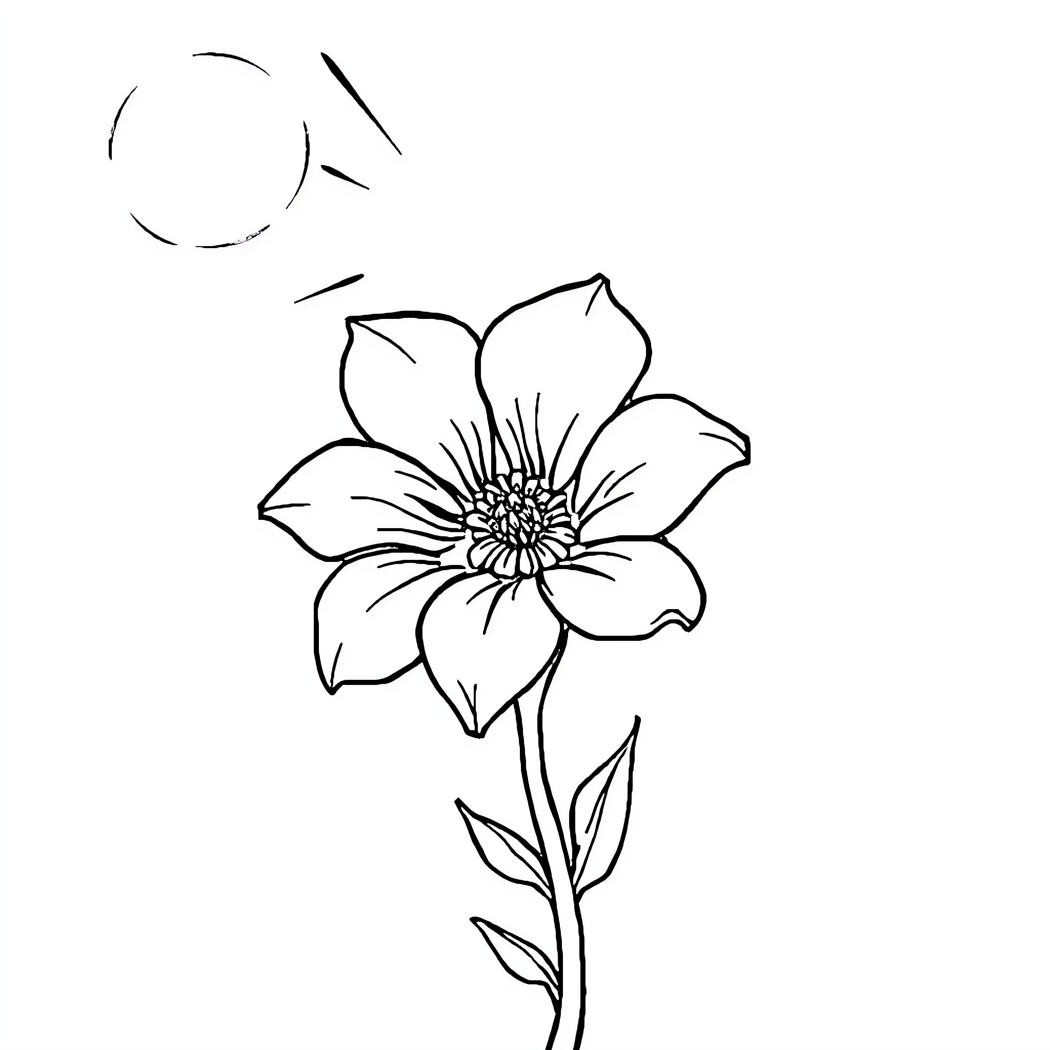 Flower blooming under the sun Coloring Page (free black-and-white line drawing printable PDF for all, from beginners to advanced learners, including children, teens, adults, and seniors)