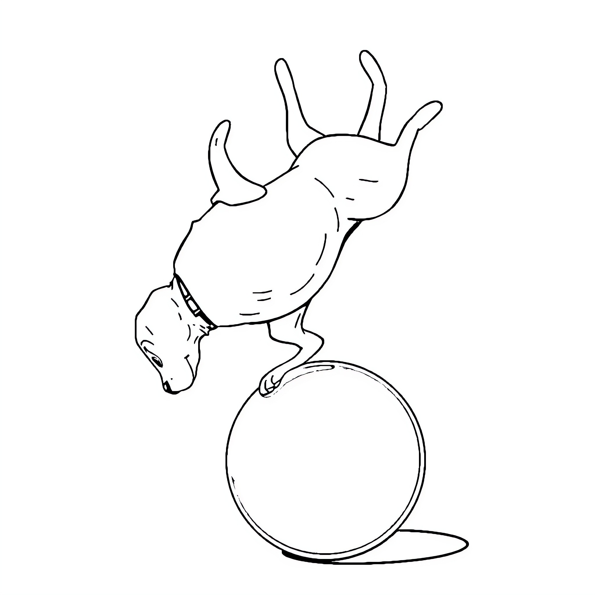 Dog balancing on a ball Coloring Page (free black-and-white line drawing printable PDF for all, from beginners to advanced learners, including children, teens, adults, and seniors)