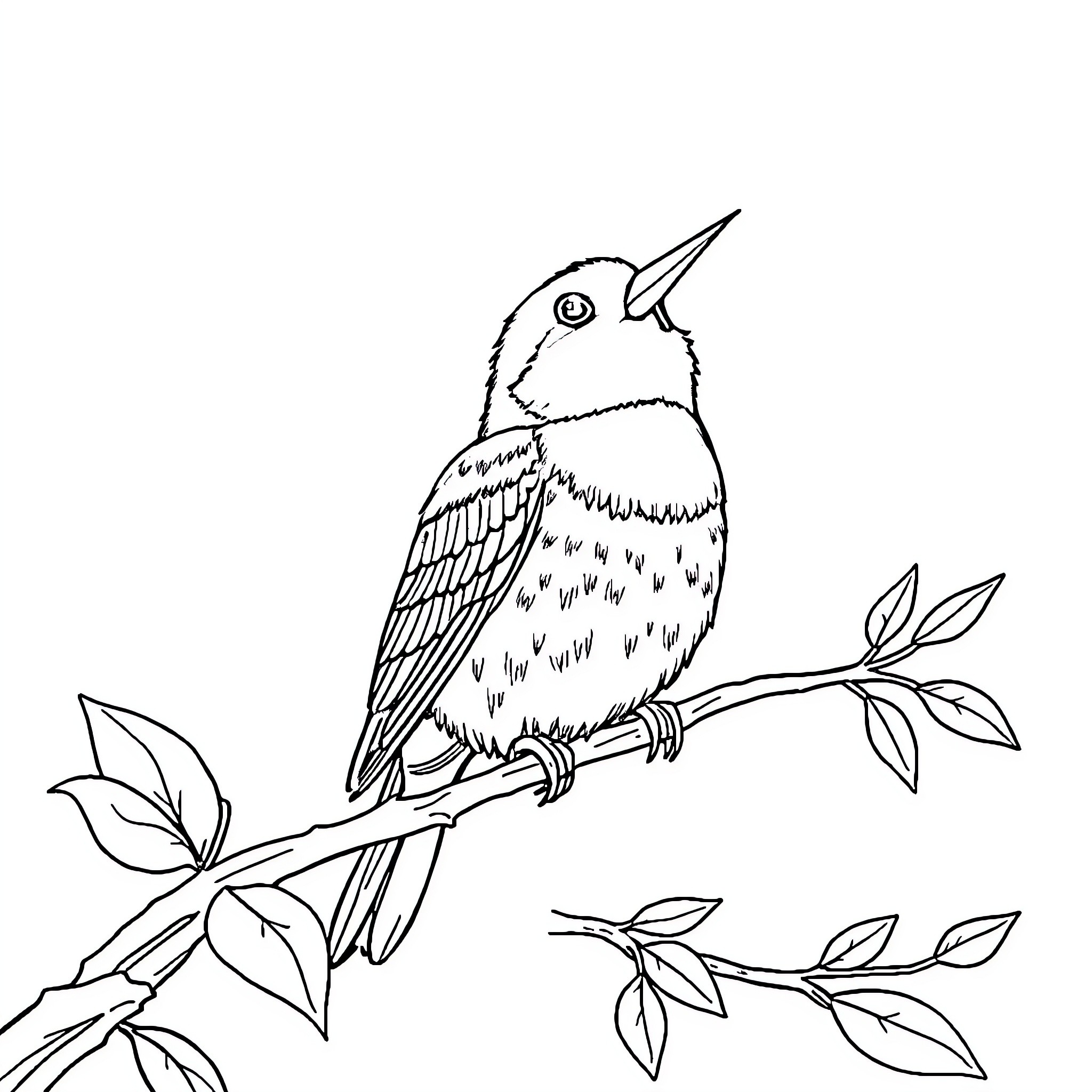 Bird perched on a branch with leaves Coloring Page (free black-and-white line drawing printable PDF for all, from beginners to advanced learners, including children, teens, adults, and seniors)