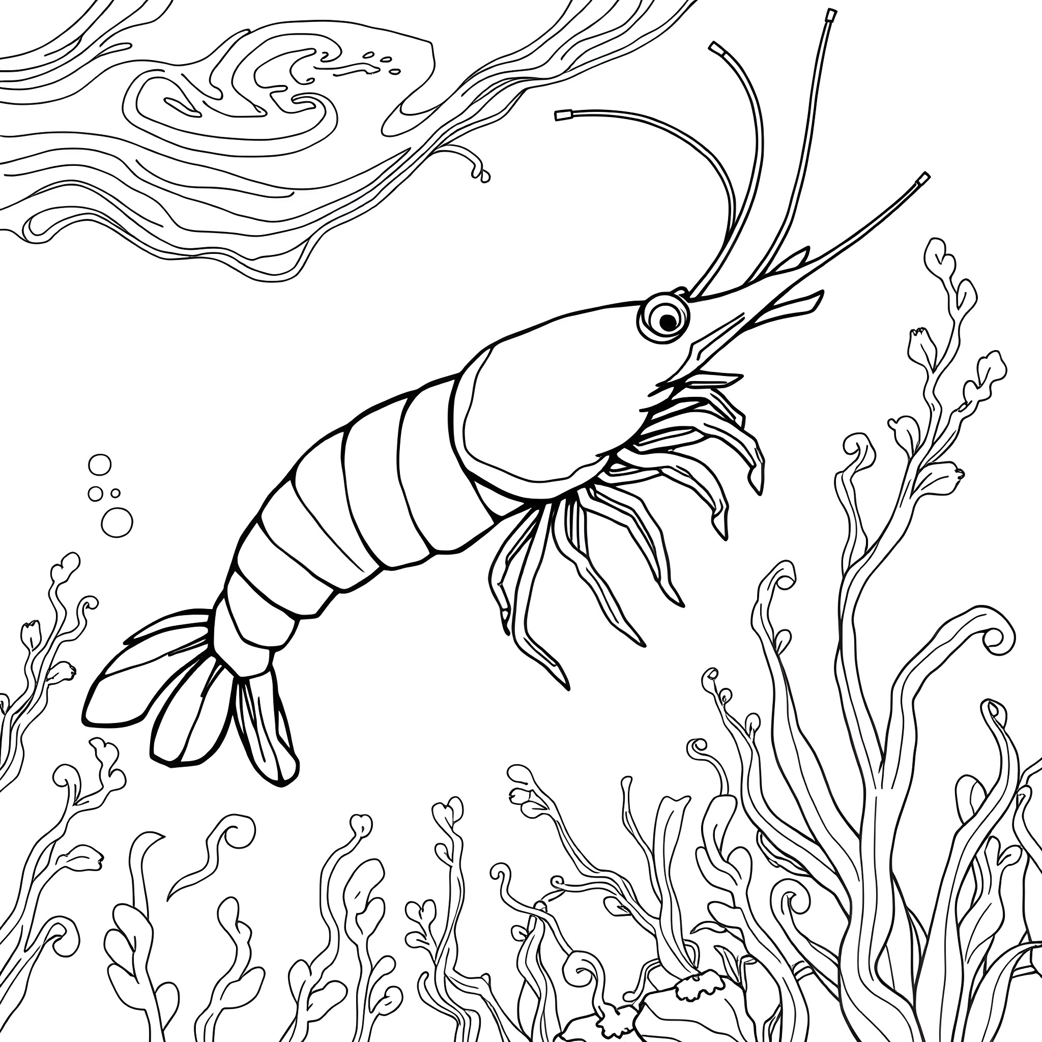 Shrimp swimming amidst underwater seaweed and bubbles Coloring Page (free black-and-white line drawing printable PDF for all, from beginners to advanced learners, including children, teens, adults, and seniors)