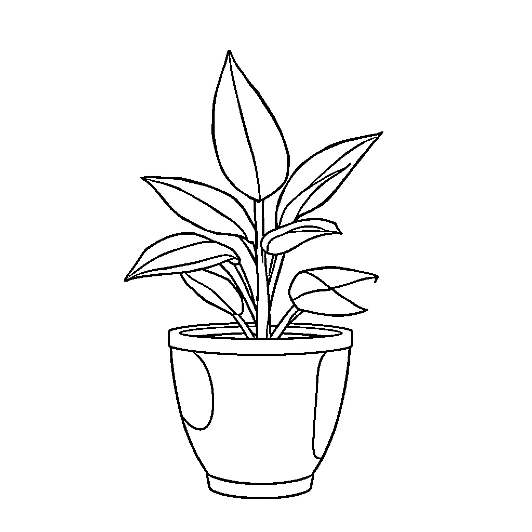Plant growing in a pot Coloring Page (free black-and-white line drawing printable PDF for all, from beginners to advanced learners, including children, teens, adults, and seniors)