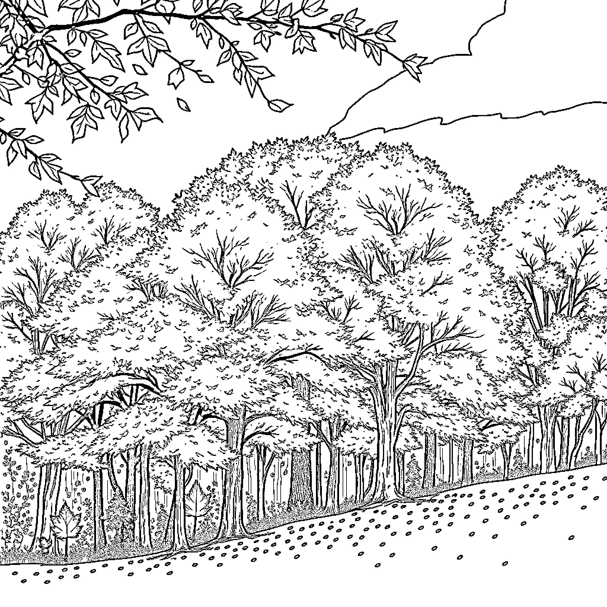 Fall Landscape with Intricate Foliage and Scenery Coloring Page (free black-and-white line drawing printable PDF for all, from beginners to advanced learners, including children, teens, adults, and seniors)