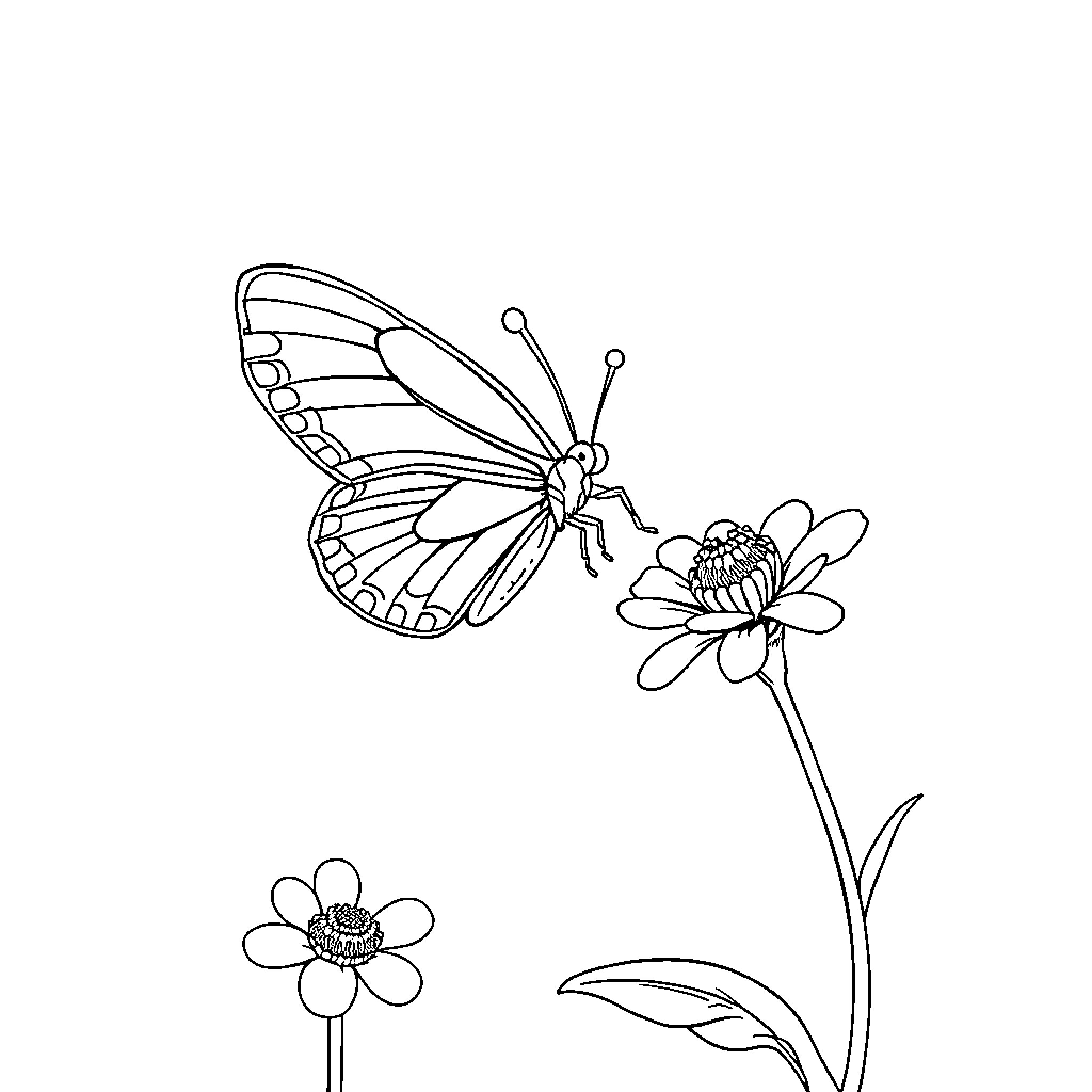 Butterfly resting on delicate flowers Coloring Page (free black-and-white line drawing printable PDF for all, from beginners to advanced learners, including children, teens, adults, and seniors)