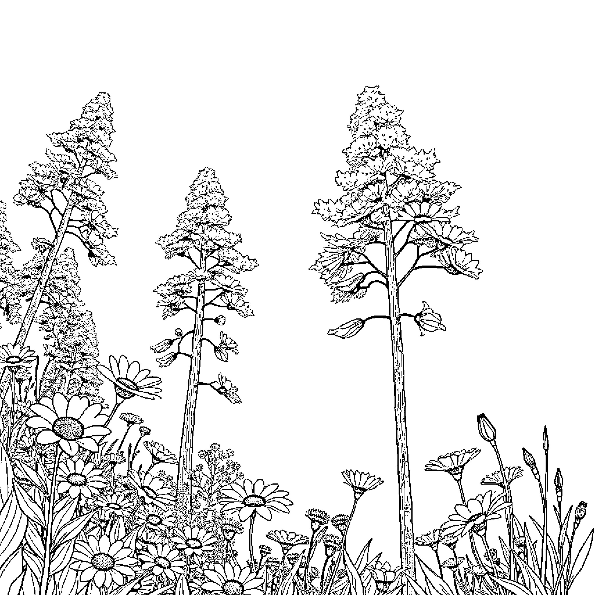 Nature's Enchanting Floral Landscape Coloring Page (free black-and-white line drawing printable PDF for all, from beginners to advanced learners, including children, teens, adults, and seniors)