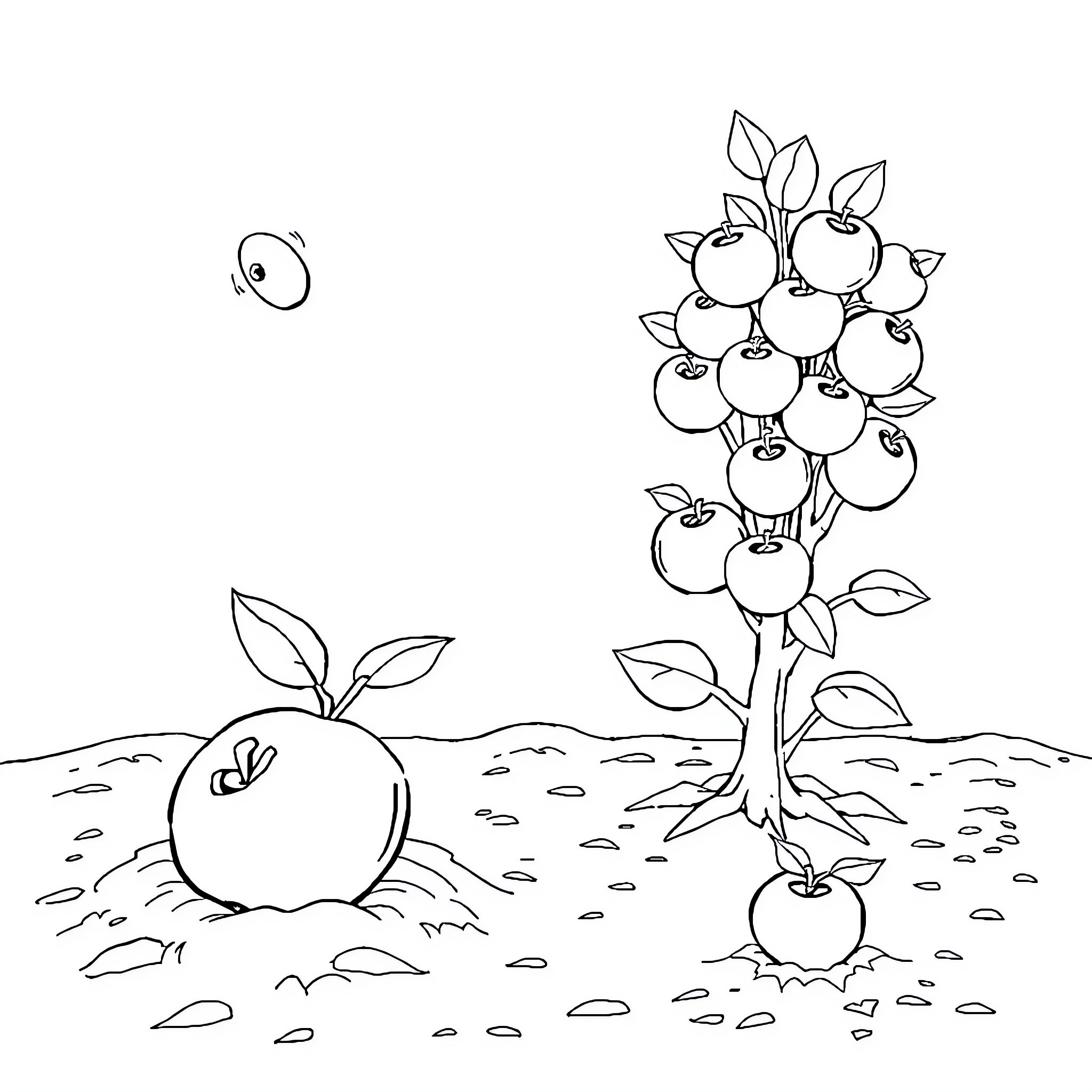 Apple tree with growing apples in nature Coloring Page (free black-and-white line drawing printable PDF for all, from beginners to advanced learners, including children, teens, adults, and seniors)