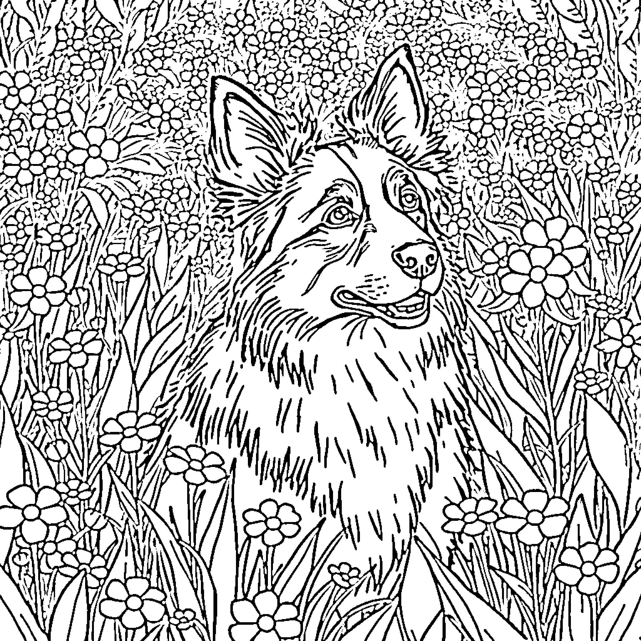 Border Collie hiding in a floral field Coloring Page (free black-and-white line drawing printable PDF for all, from beginners to advanced learners, including children, teens, adults, and seniors)