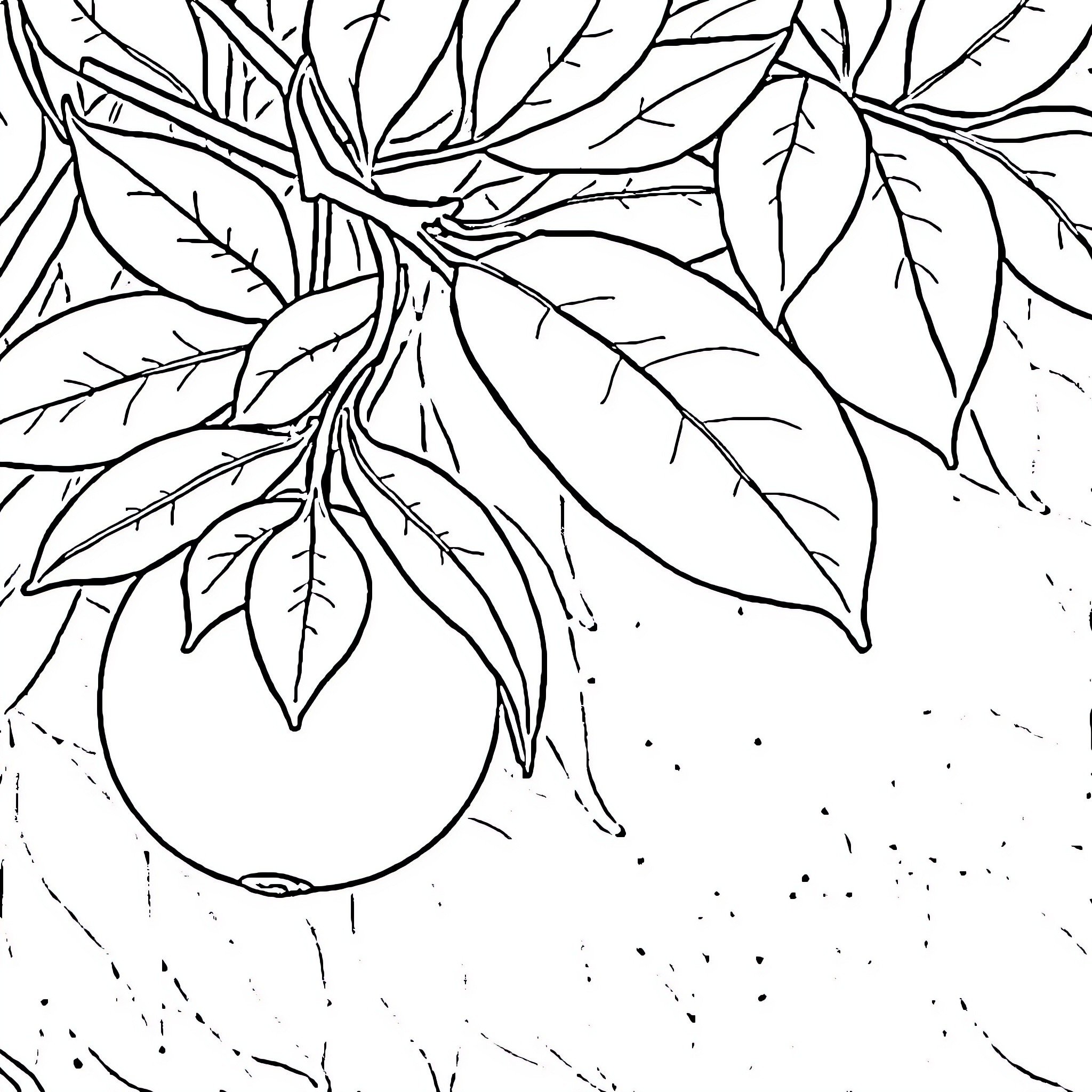 Orange Leaves Cascading on Textured Background Coloring Page (free black-and-white line drawing printable PDF for all, from beginners to advanced learners, including children, teens, adults, and seniors)