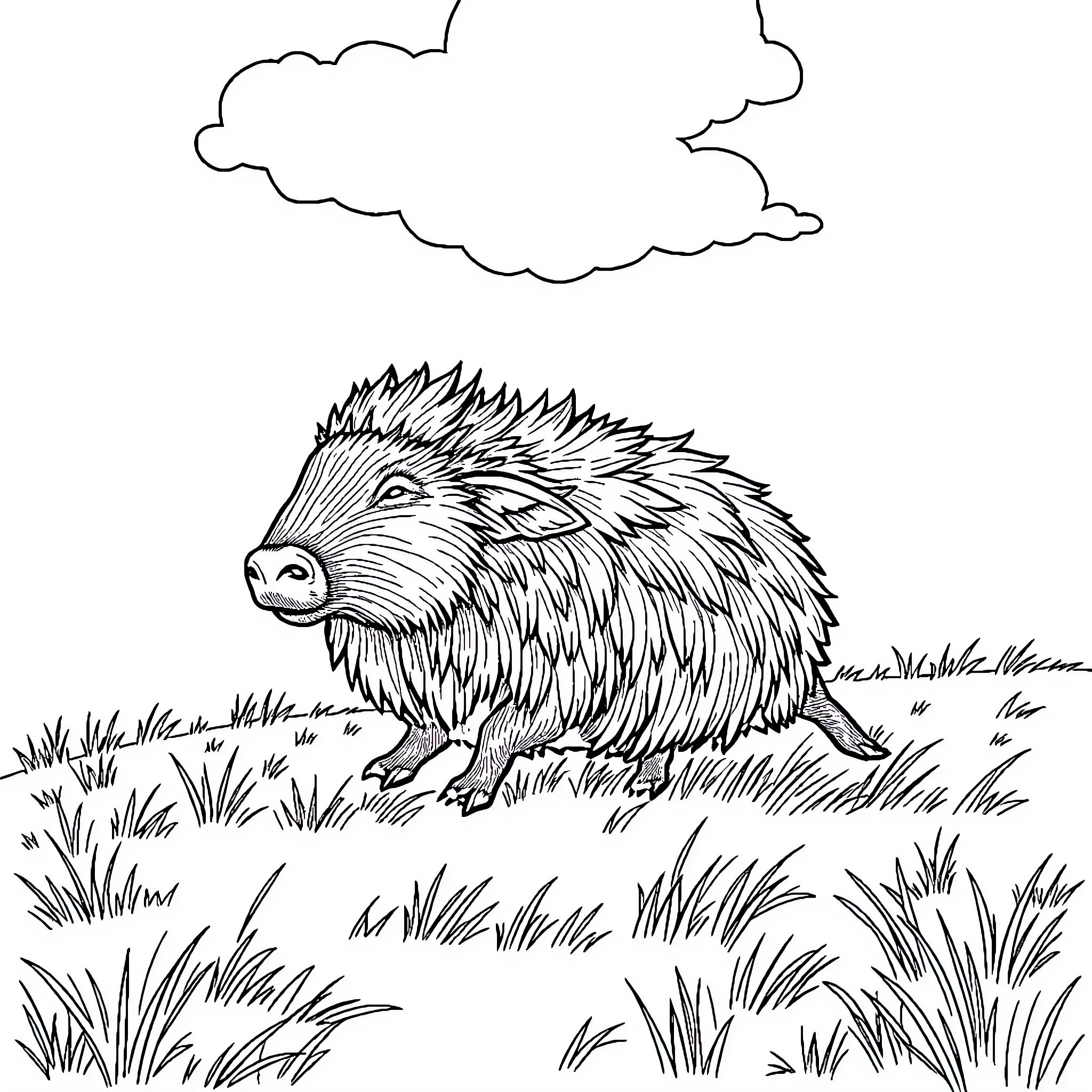 Haggis scurrying through the grassy field Coloring Page (free black-and-white line drawing printable PDF for all, from beginners to advanced learners, including children, teens, adults, and seniors)