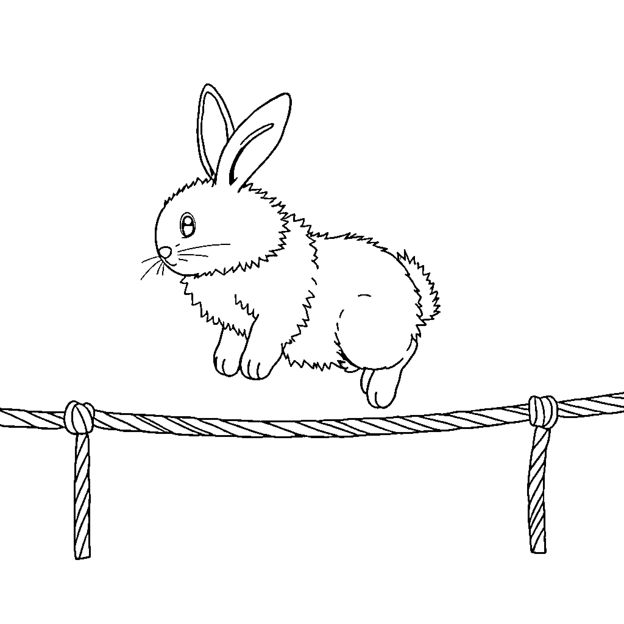 Bunny balancing on tightrope Coloring Page (free black-and-white line drawing printable PDF for all, from beginners to advanced learners, including children, teens, adults, and seniors)