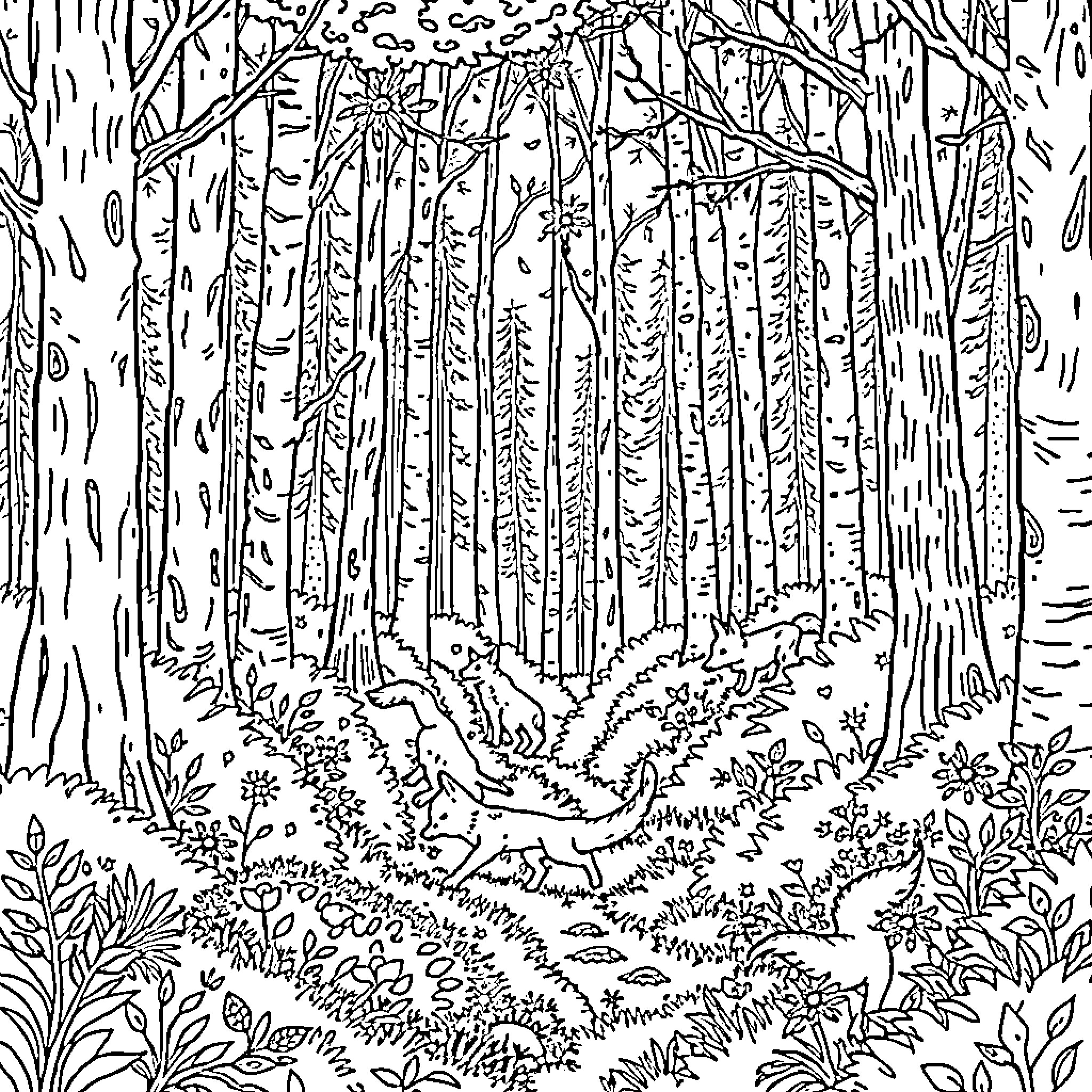 Fox foraging in the enchanted forest Coloring Page (free black-and-white line drawing printable PDF for all, from beginners to advanced learners, including children, teens, adults, and seniors)