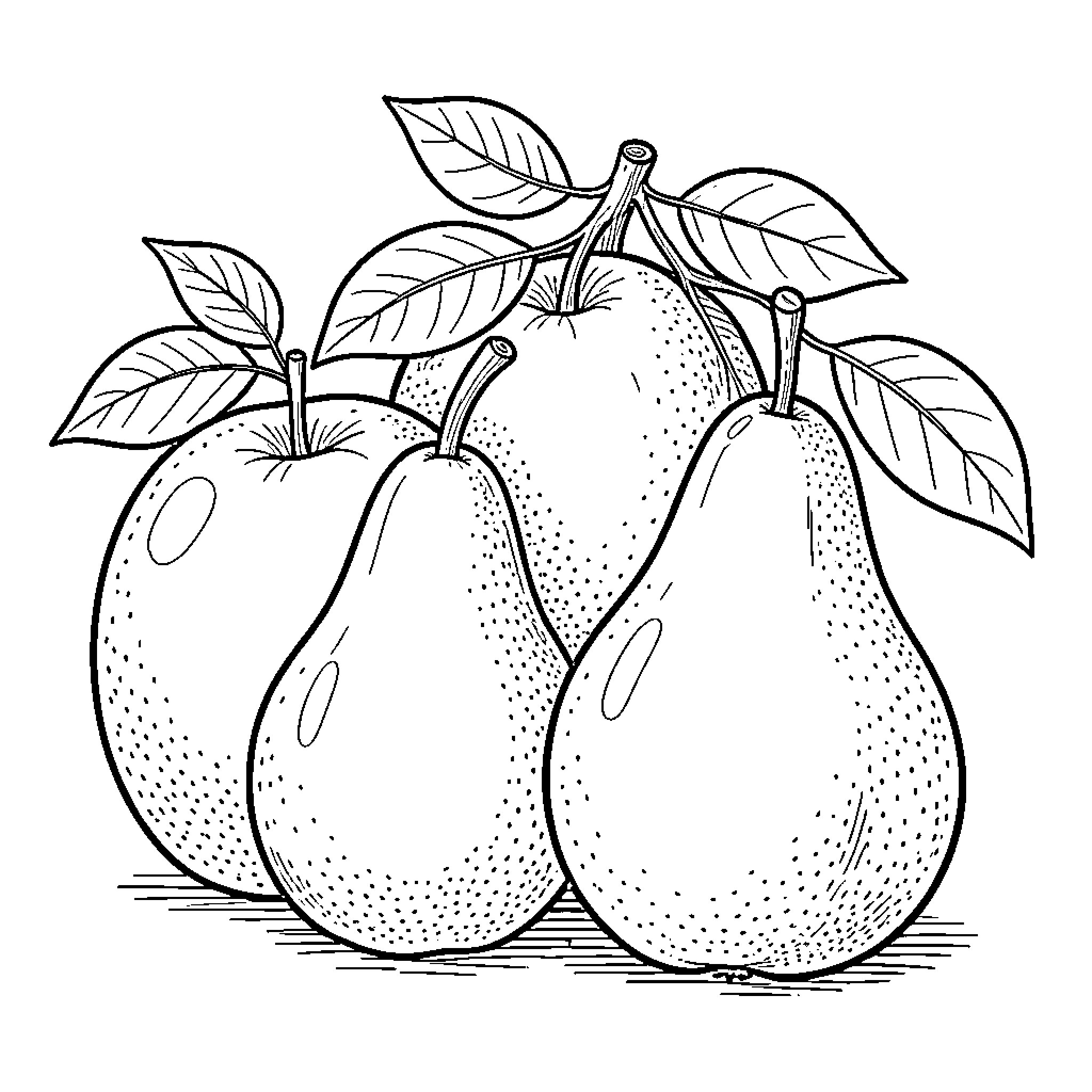 Apple Pears with Leaves and Branches Coloring Page (free black-and-white line drawing printable PDF for all, from beginners to advanced learners, including children, teens, adults, and seniors)