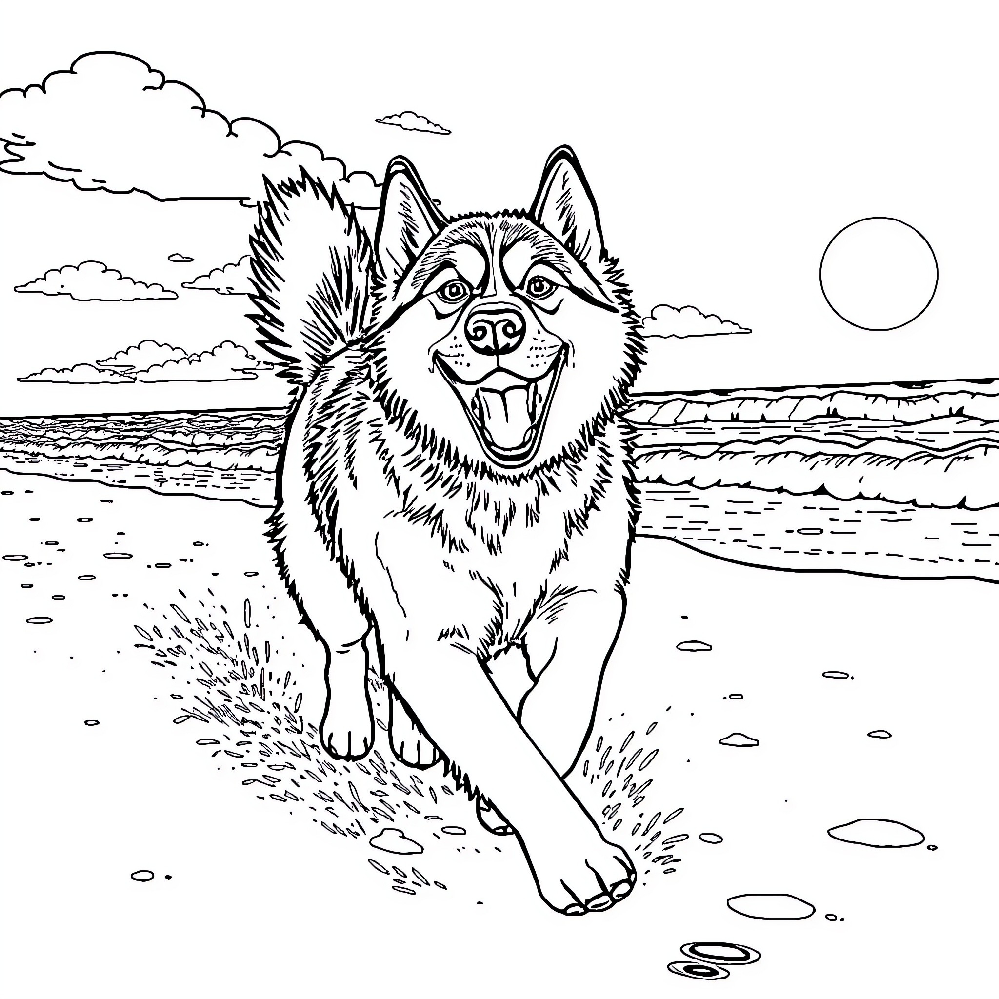 Husky exploring the beach on a sunny day Coloring Page (free black-and-white line drawing printable PDF for all, from beginners to advanced learners, including children, teens, adults, and seniors)