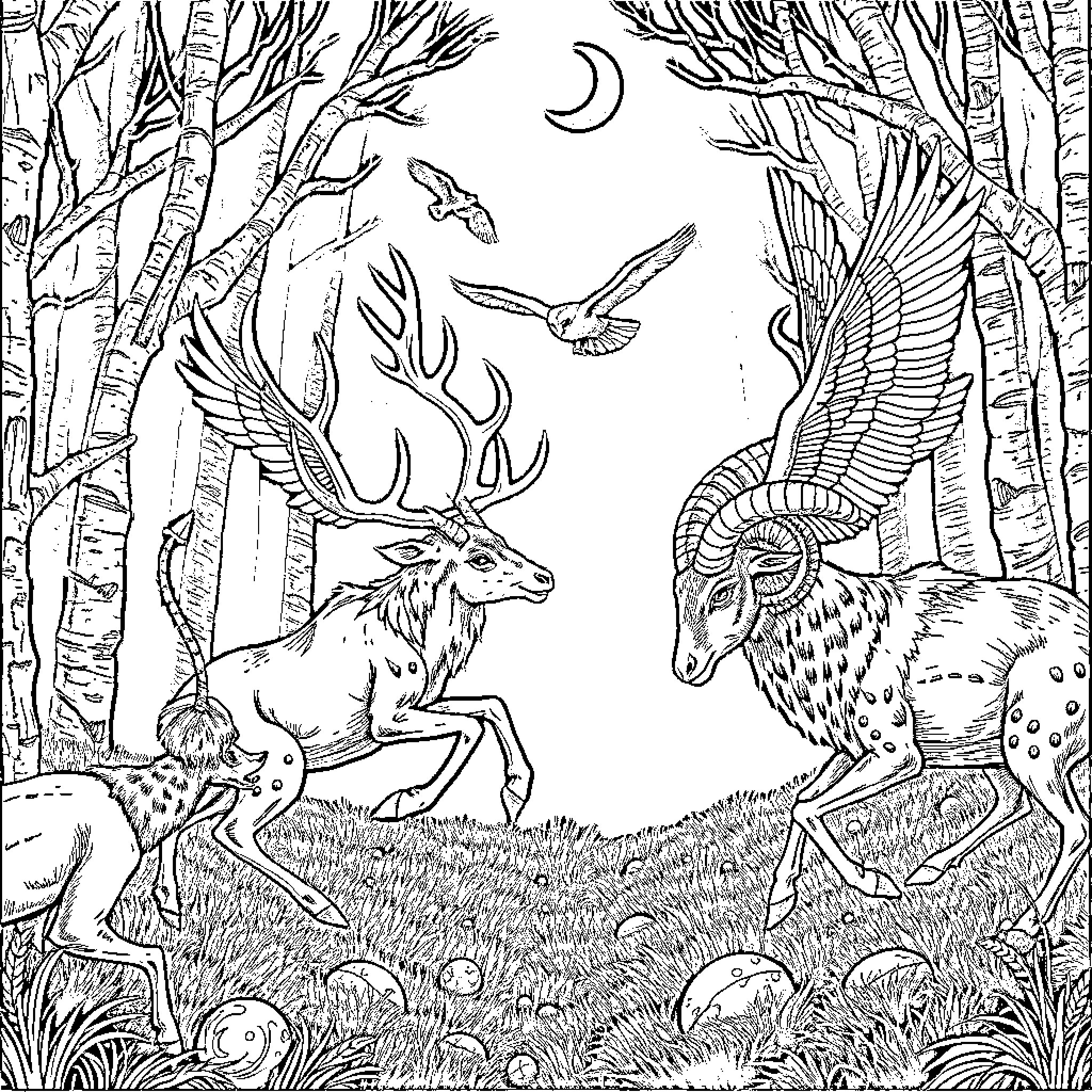 Deer in the Enchanted Forest at Night Coloring Page (free black-and-white line drawing printable PDF for all, from beginners to advanced learners, including children, teens, adults, and seniors)