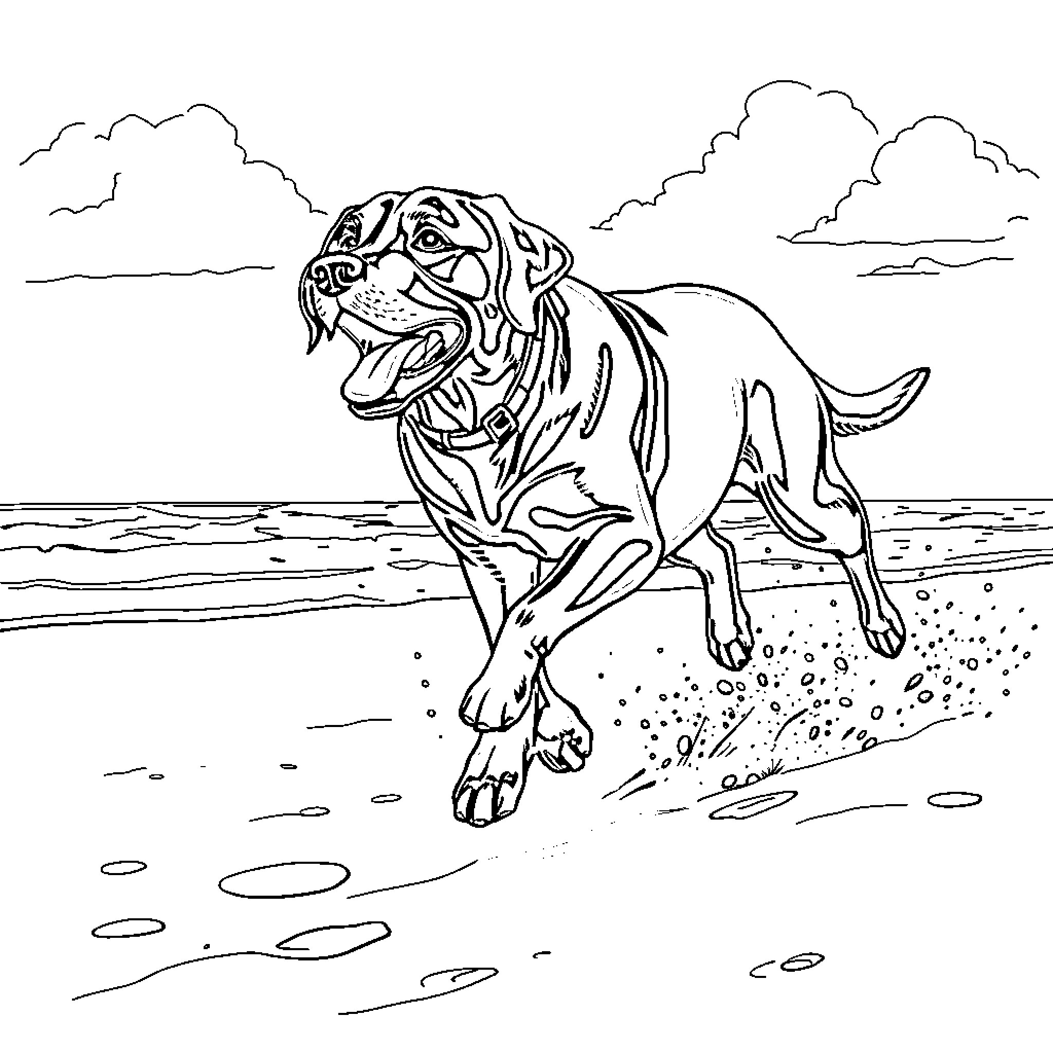 Labrador running happily on the beach Coloring Page (free black-and-white line drawing printable PDF for all, from beginners to advanced learners, including children, teens, adults, and seniors)