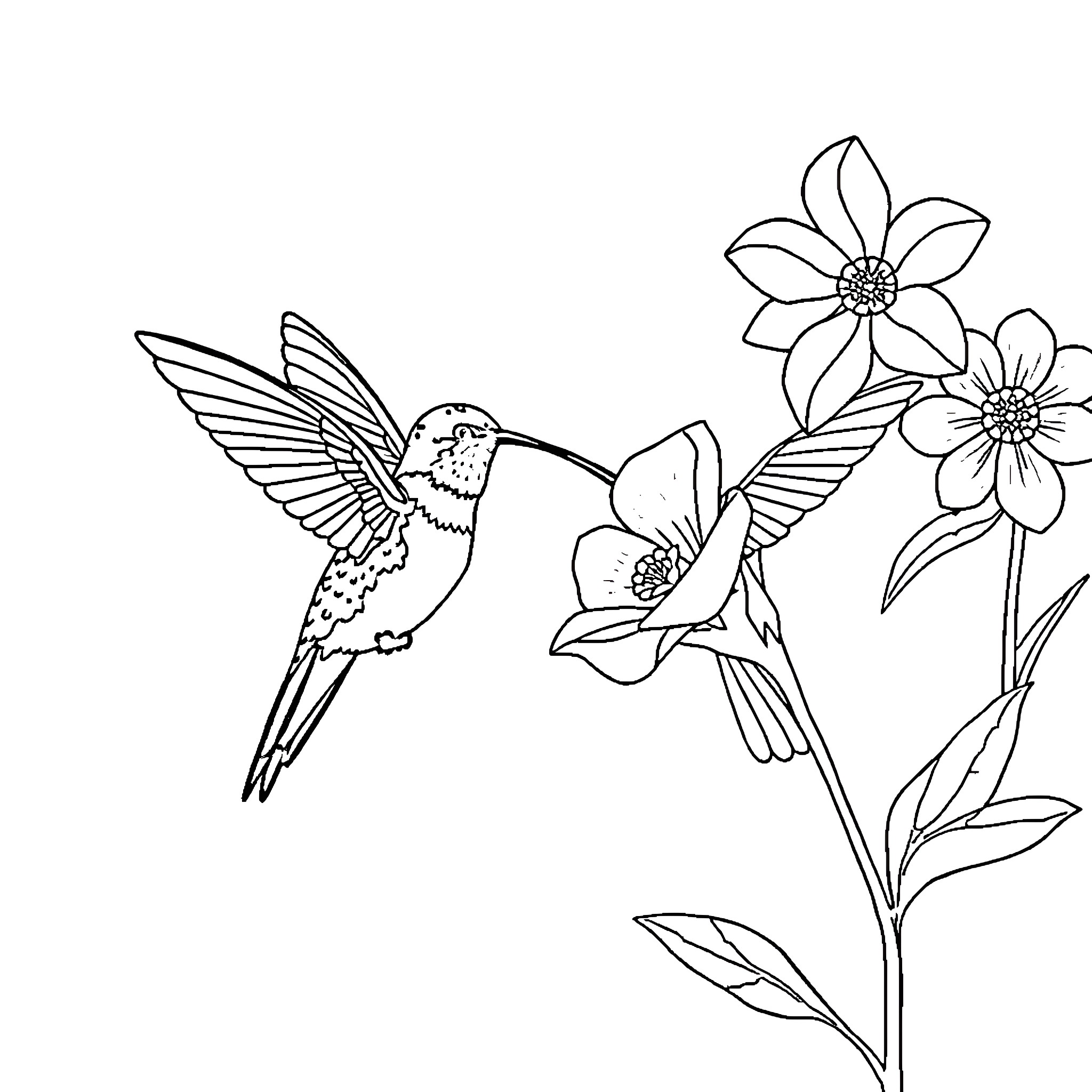 Hummingbirds fluttering among blooming flowers Coloring Page (free black-and-white line drawing printable PDF for all, from beginners to advanced learners, including children, teens, adults, and seniors)