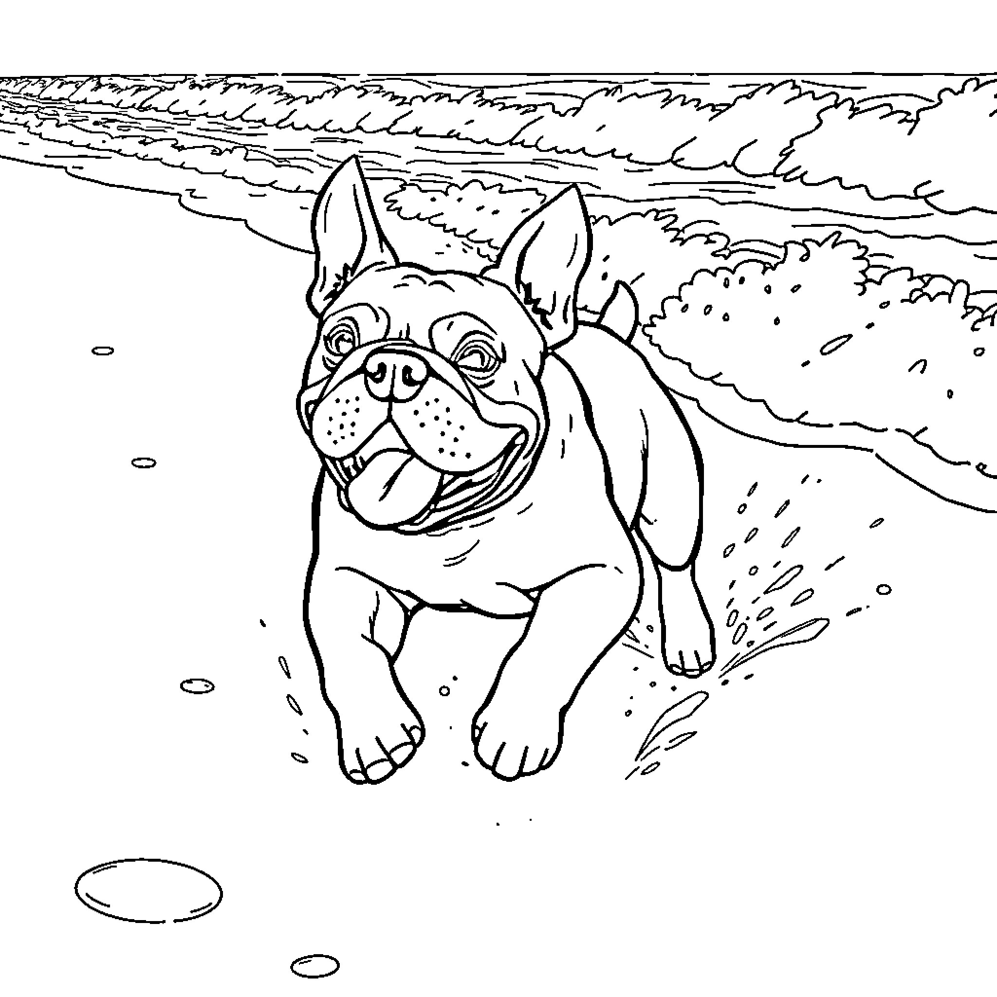 Bulldog playing joyfully on the beach Coloring Page (free black-and-white line drawing printable PDF for all, from beginners to advanced learners, including children, teens, adults, and seniors)