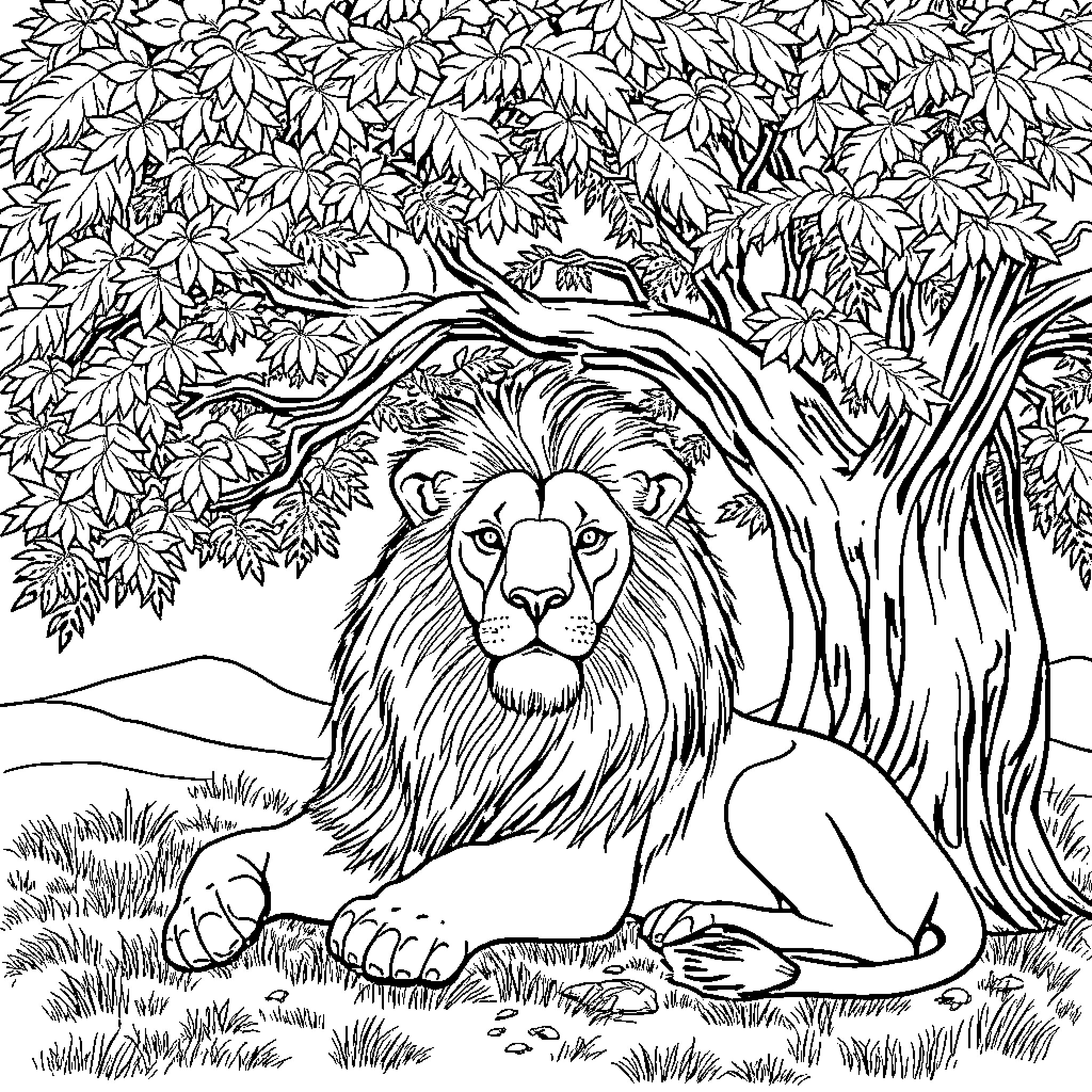 Lion resting peacefully in the lush forest Coloring Page (free black-and-white line drawing printable PDF for all, from beginners to advanced learners, including children, teens, adults, and seniors)