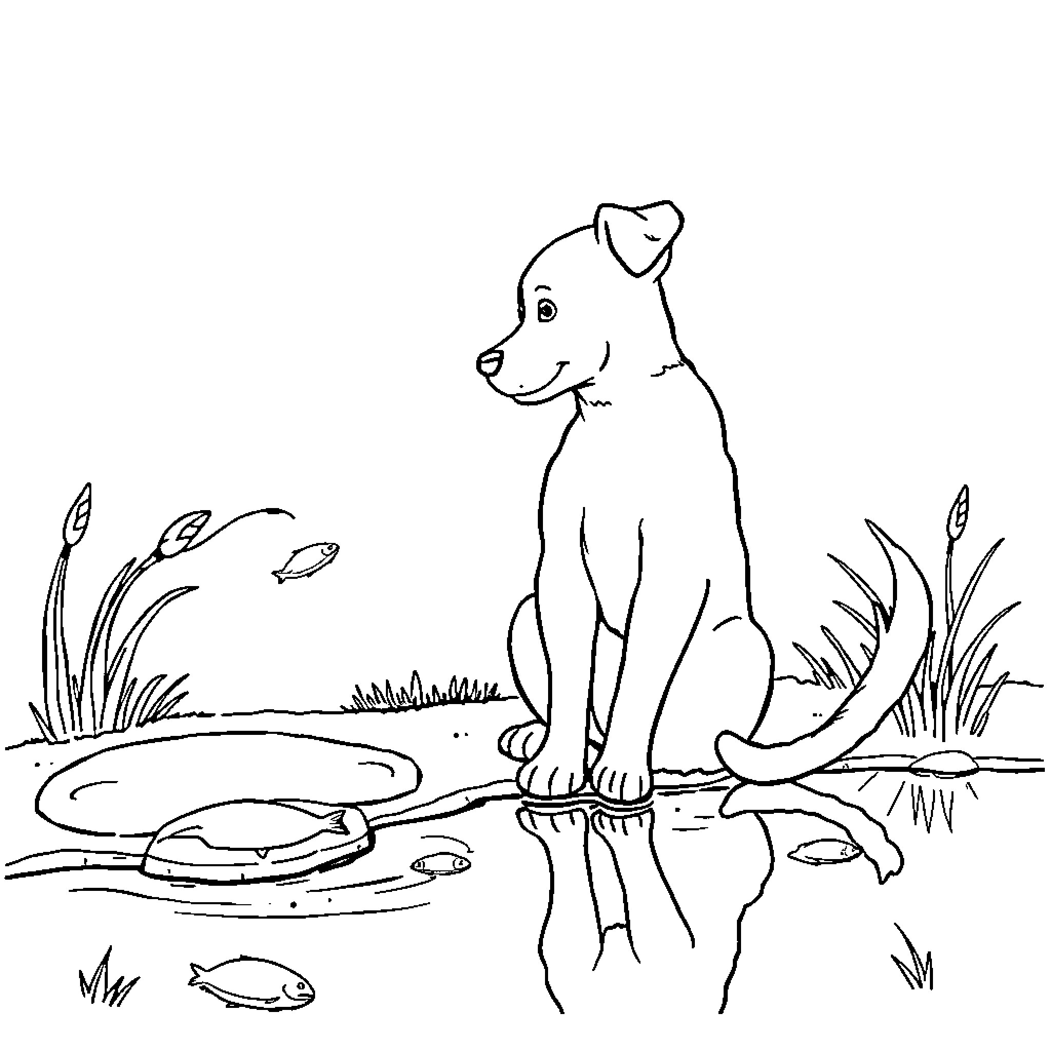 Dog standing by a pond with fish Coloring Page (free black-and-white line drawing printable PDF for all, from beginners to advanced learners, including children, teens, adults, and seniors)