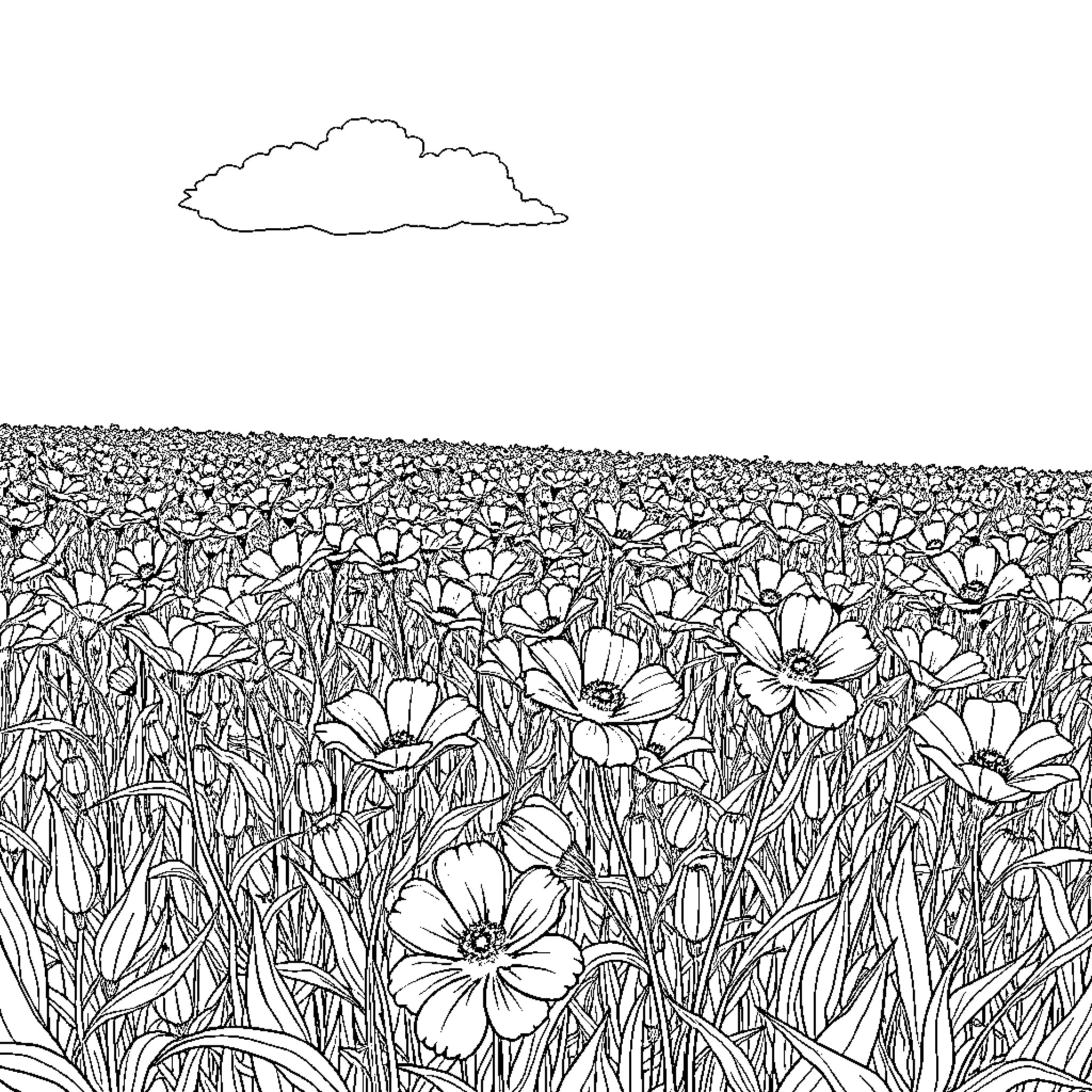 Blue Bonnet Meadow of Blossoms Coloring Page (free black-and-white line drawing printable PDF for all, from beginners to advanced learners, including children, teens, adults, and seniors)