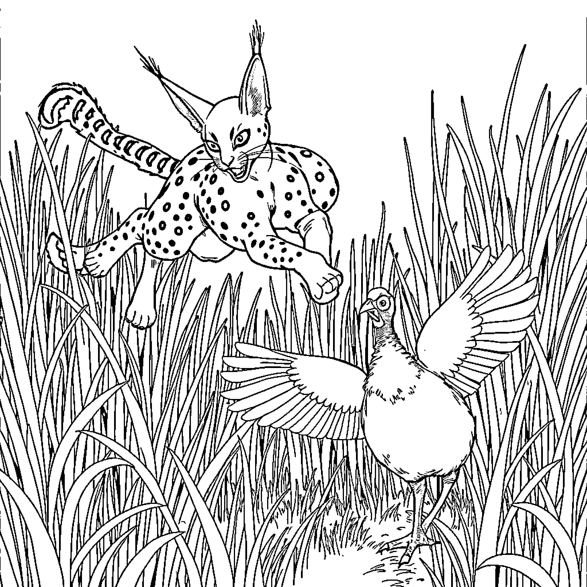 Caracal in the Wilderness Coloring Page (free black-and-white line drawing printable PDF for all, from beginners to advanced learners, including children, teens, adults, and seniors)