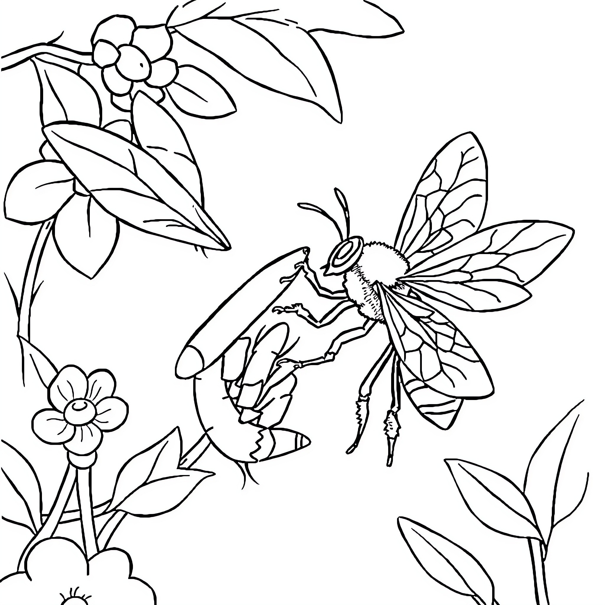 Cicada resting among flowers and foliage Coloring Page (free black-and-white line drawing printable PDF for all, from beginners to advanced learners, including children, teens, adults, and seniors)