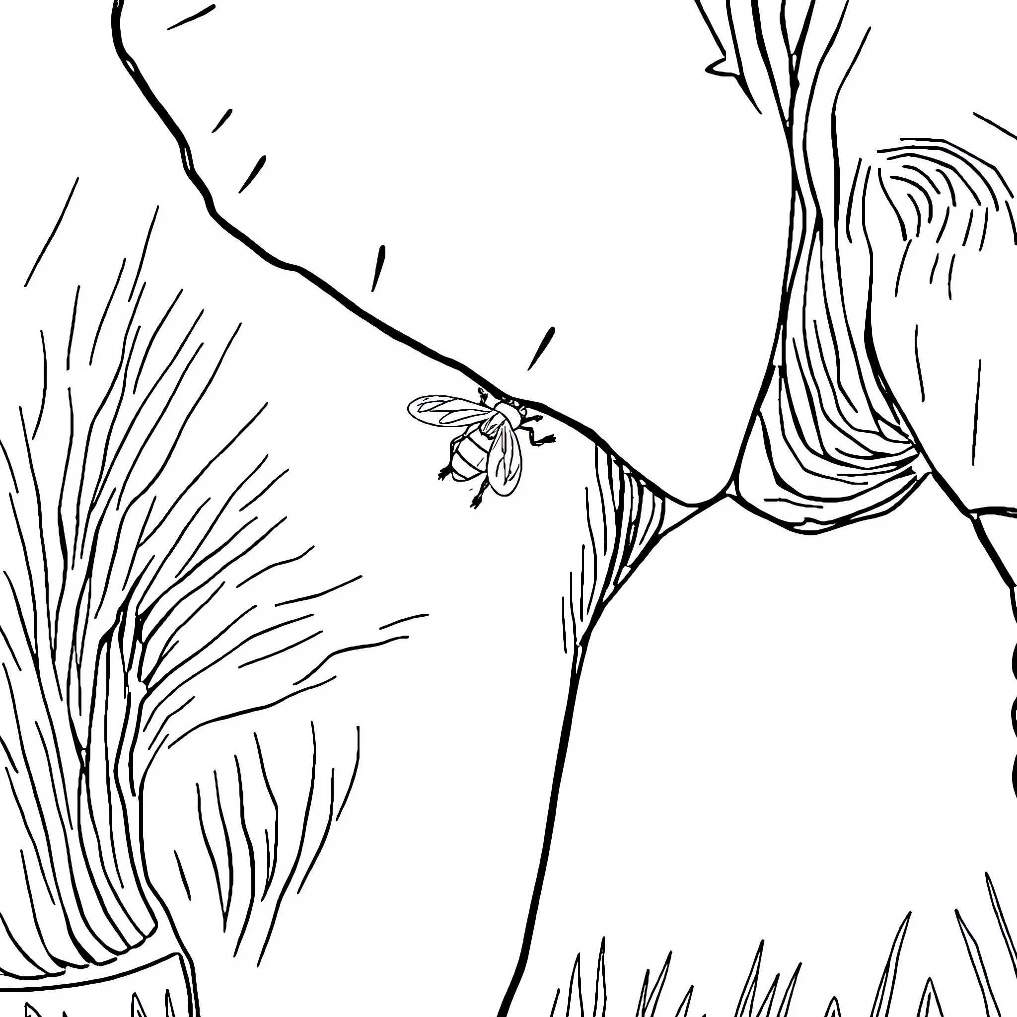 Fly through the wilderness landscape Coloring Page (free black-and-white line drawing printable PDF for all, from beginners to advanced learners, including children, teens, adults, and seniors)