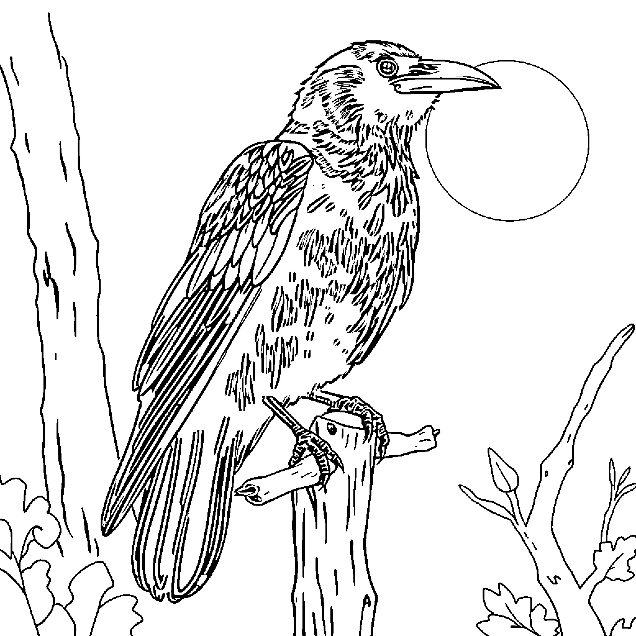 Raven perched on a branch in the forest Coloring Page (free black-and-white line drawing printable PDF for all, from beginners to advanced learners, including children, teens, adults, and seniors)