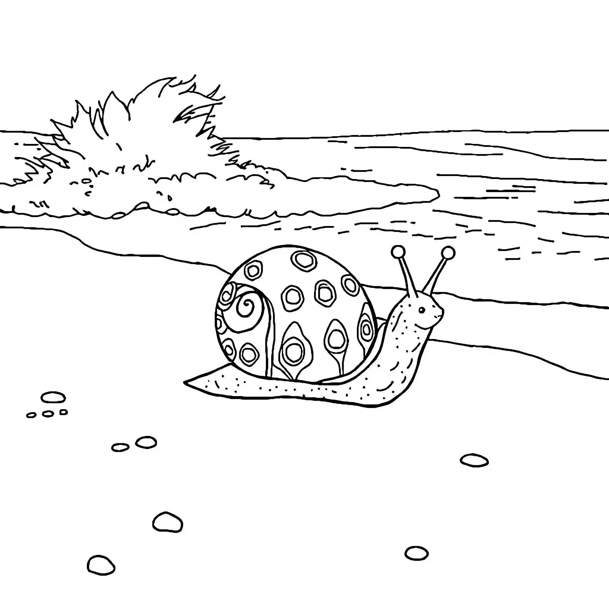 Snail slithering along the beach Coloring Page (free black-and-white line drawing printable PDF for all, from beginners to advanced learners, including children, teens, adults, and seniors)