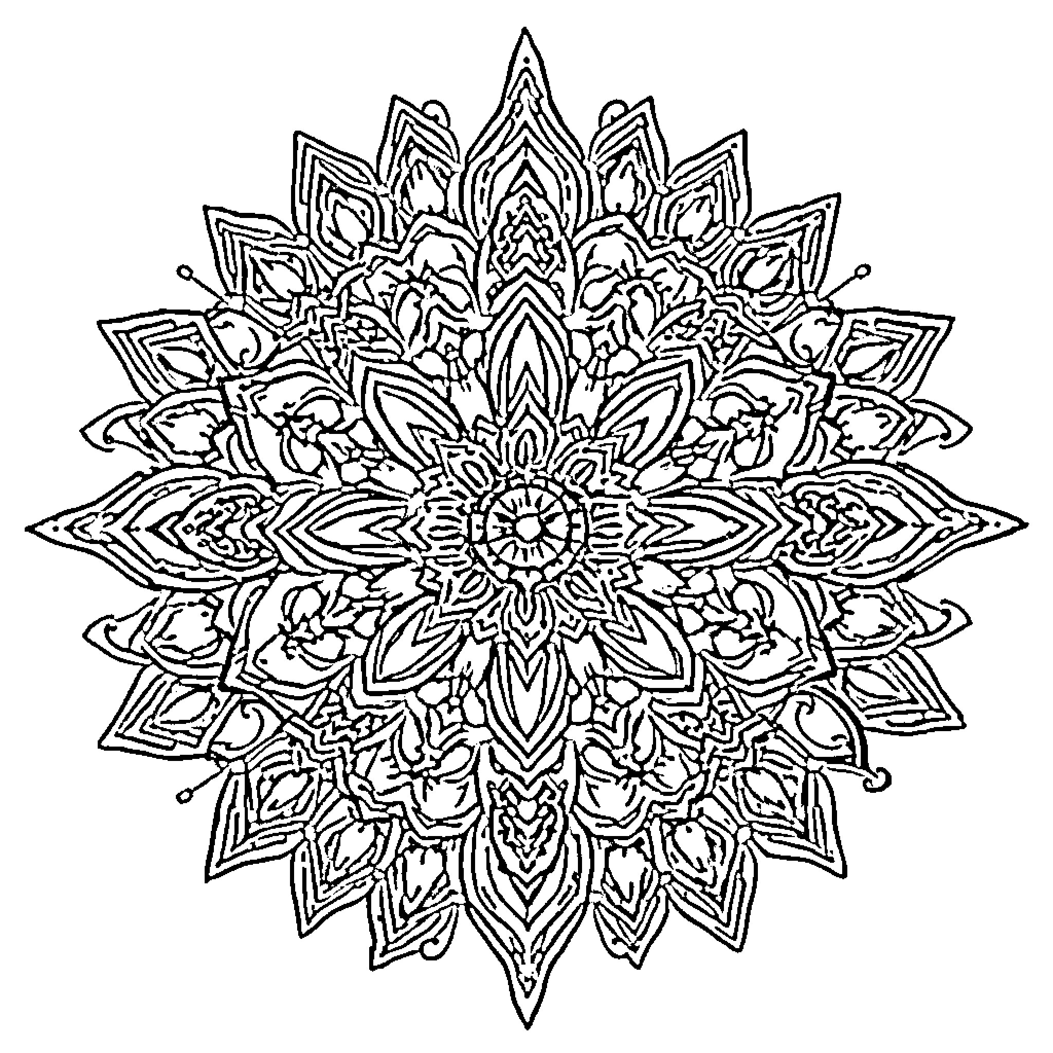 Mandala with intricate floral patterns Coloring Page (free black-and-white line drawing printable PDF for all, from beginners to advanced learners, including children, teens, adults, and seniors)