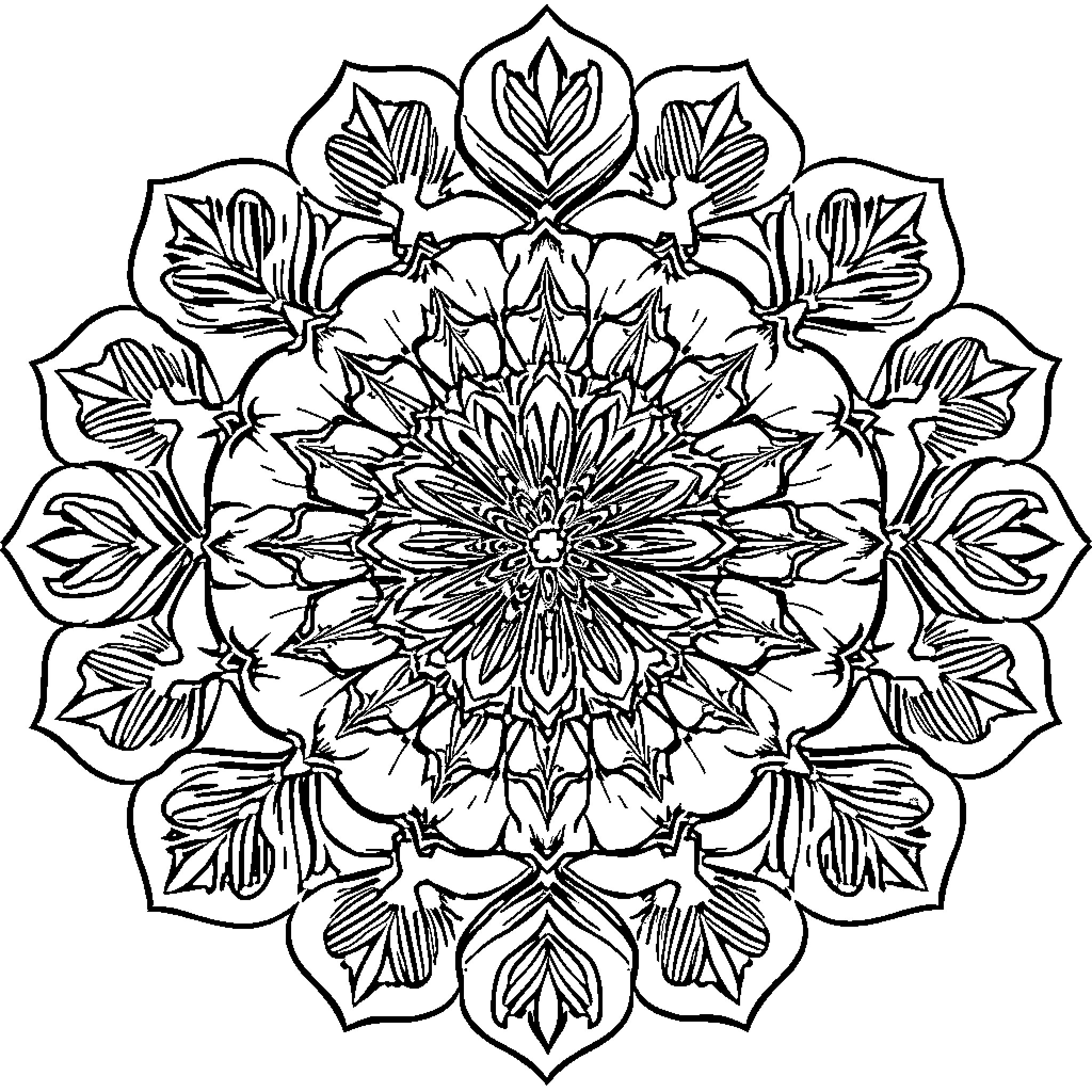 Cauliflower-inspired floral mandala design Coloring Page (free black-and-white line drawing printable PDF for all, from beginners to advanced learners, including children, teens, adults, and seniors)